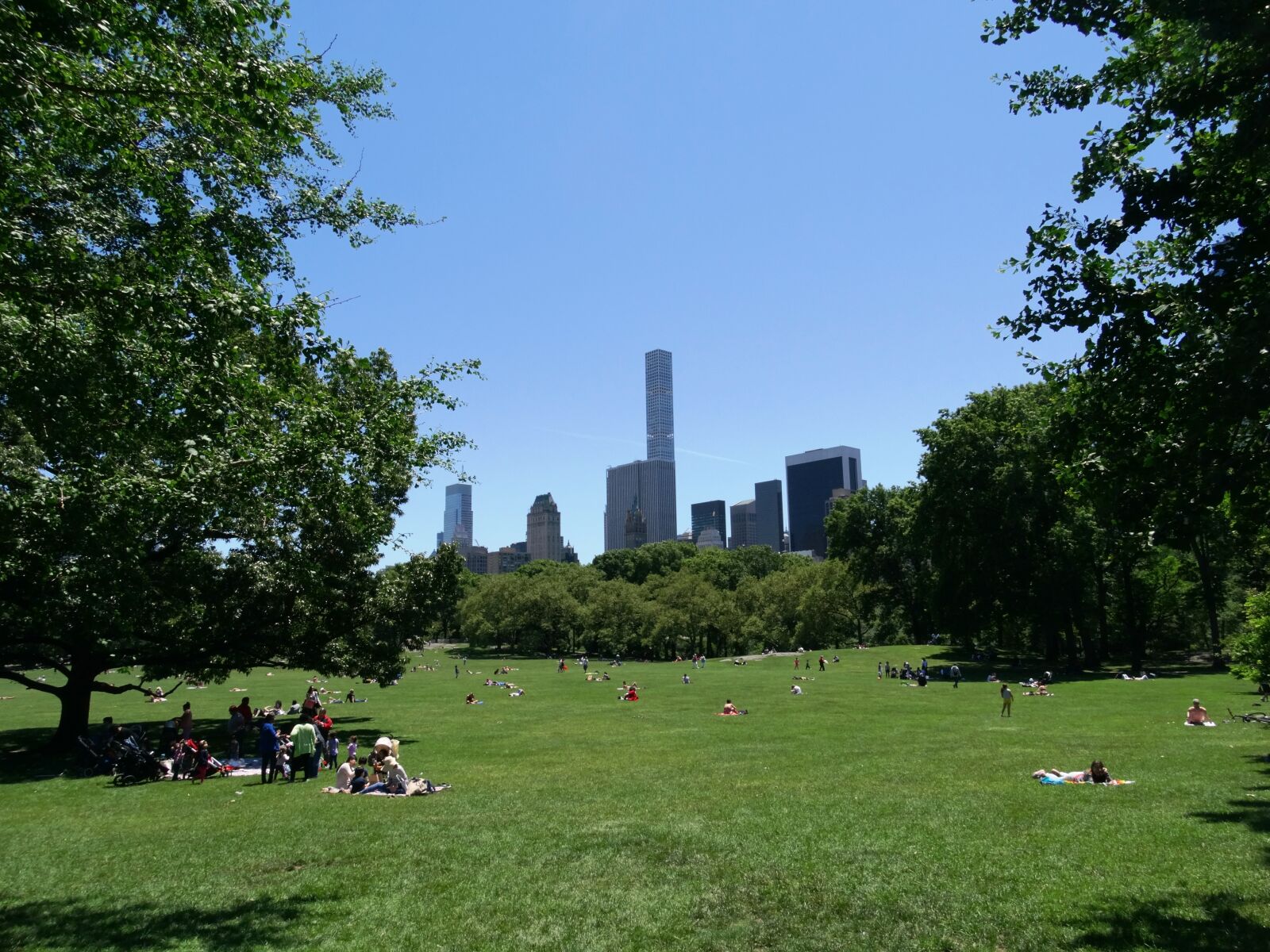 Sony Cyber-shot DSC-HX300 sample photo. New york, central park photography
