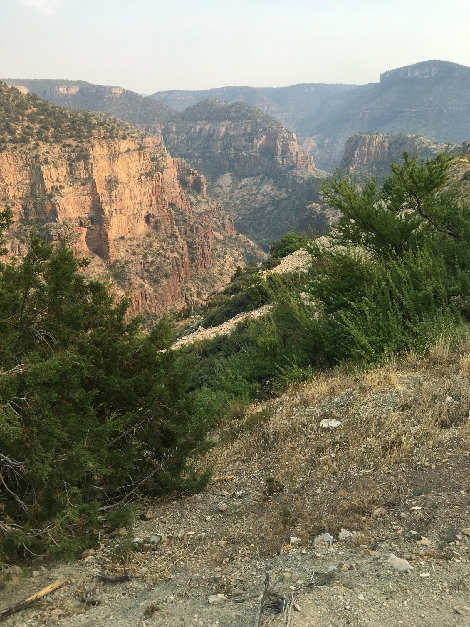 iPhone 6s Plus back camera 4.15mm f/2.2 sample photo. Salt river canyon, show photography