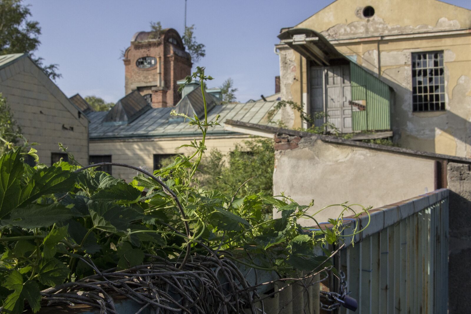 Canon EOS 600D (Rebel EOS T3i / EOS Kiss X5) sample photo. Factory, old, building photography