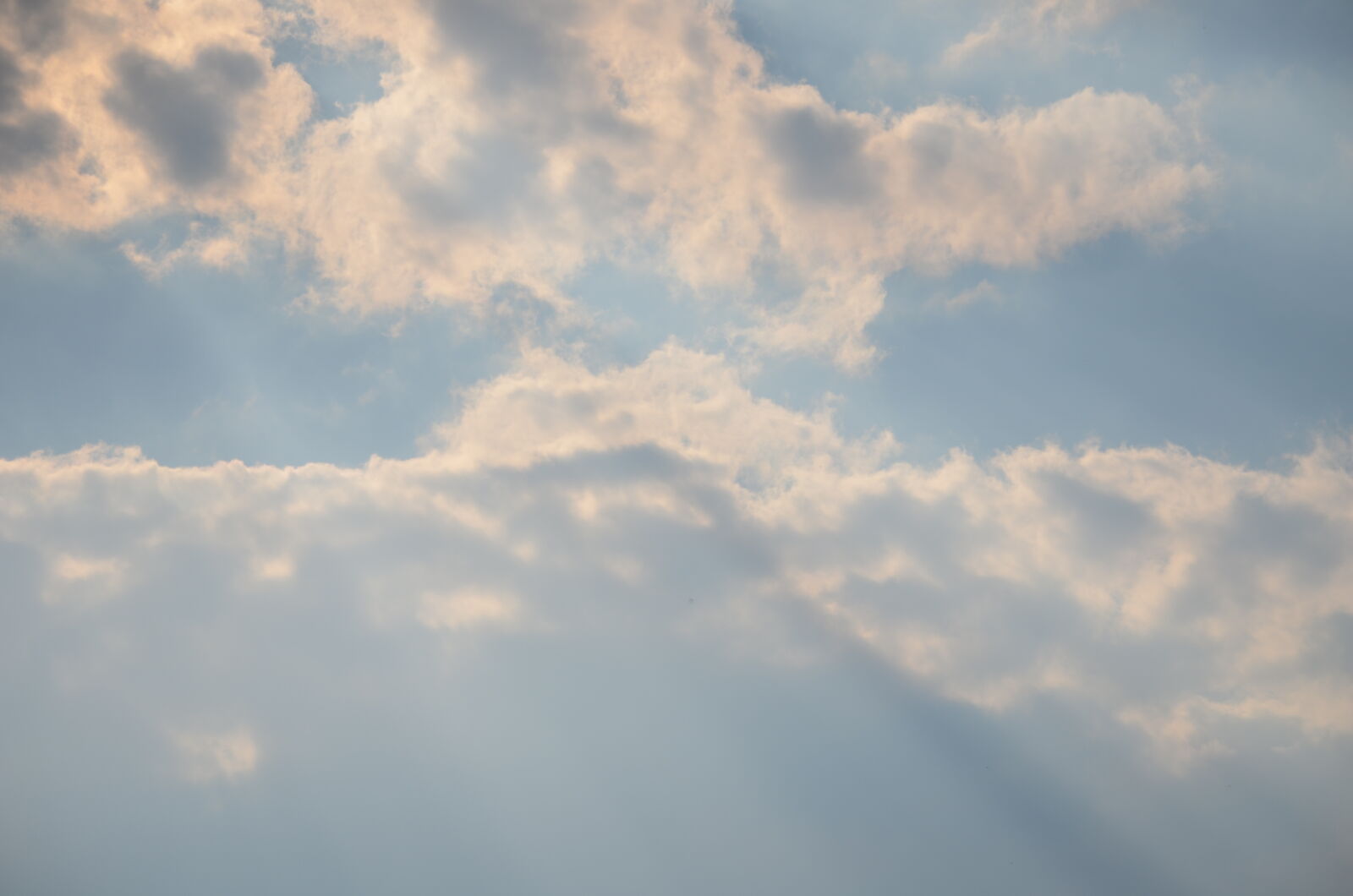 Nikon D5100 sample photo