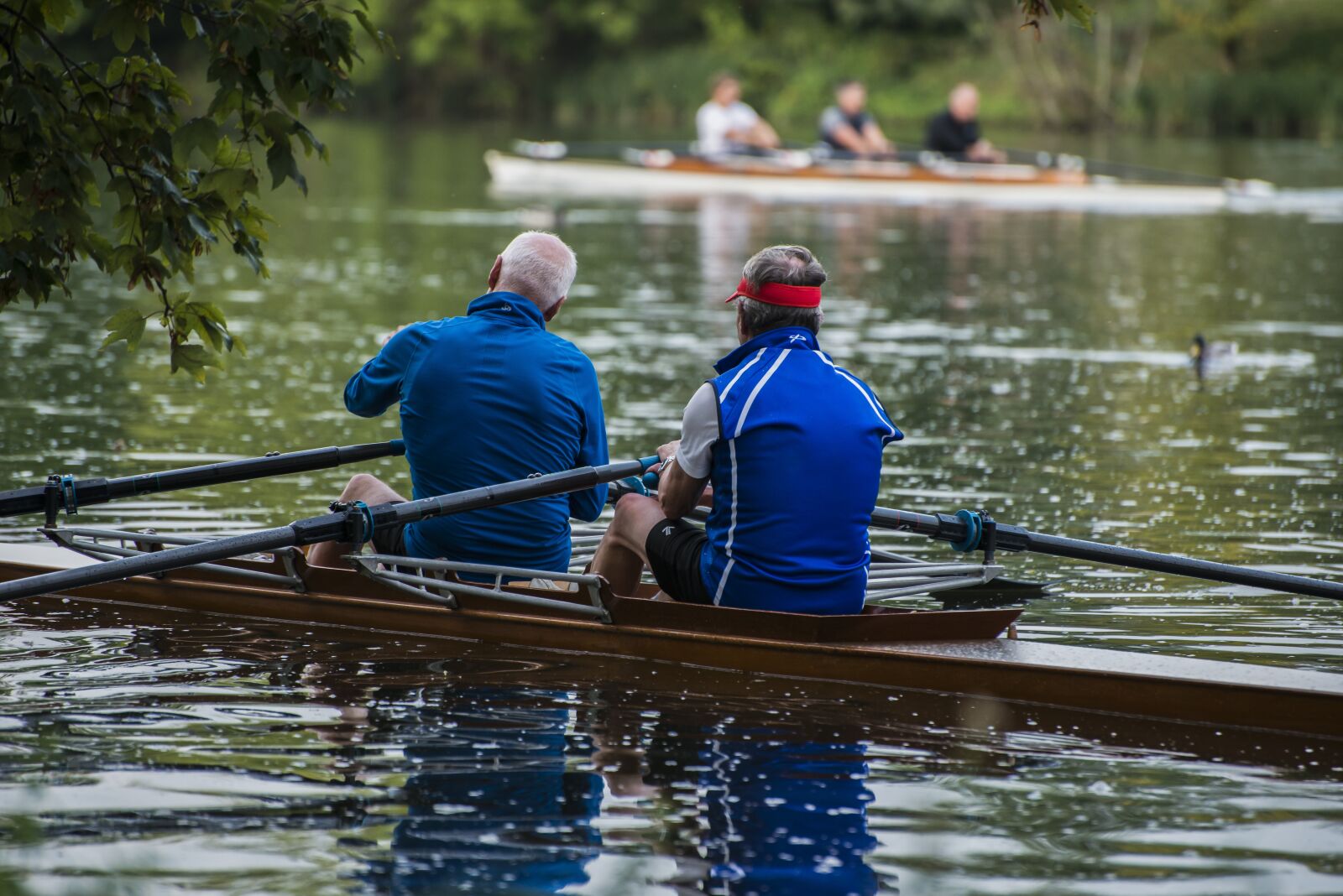 Nikon D800 sample photo. Rowing, rower, danube photography