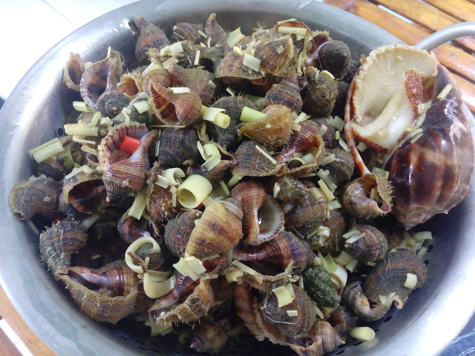 LG G Vista sample photo. Sea, shells photography