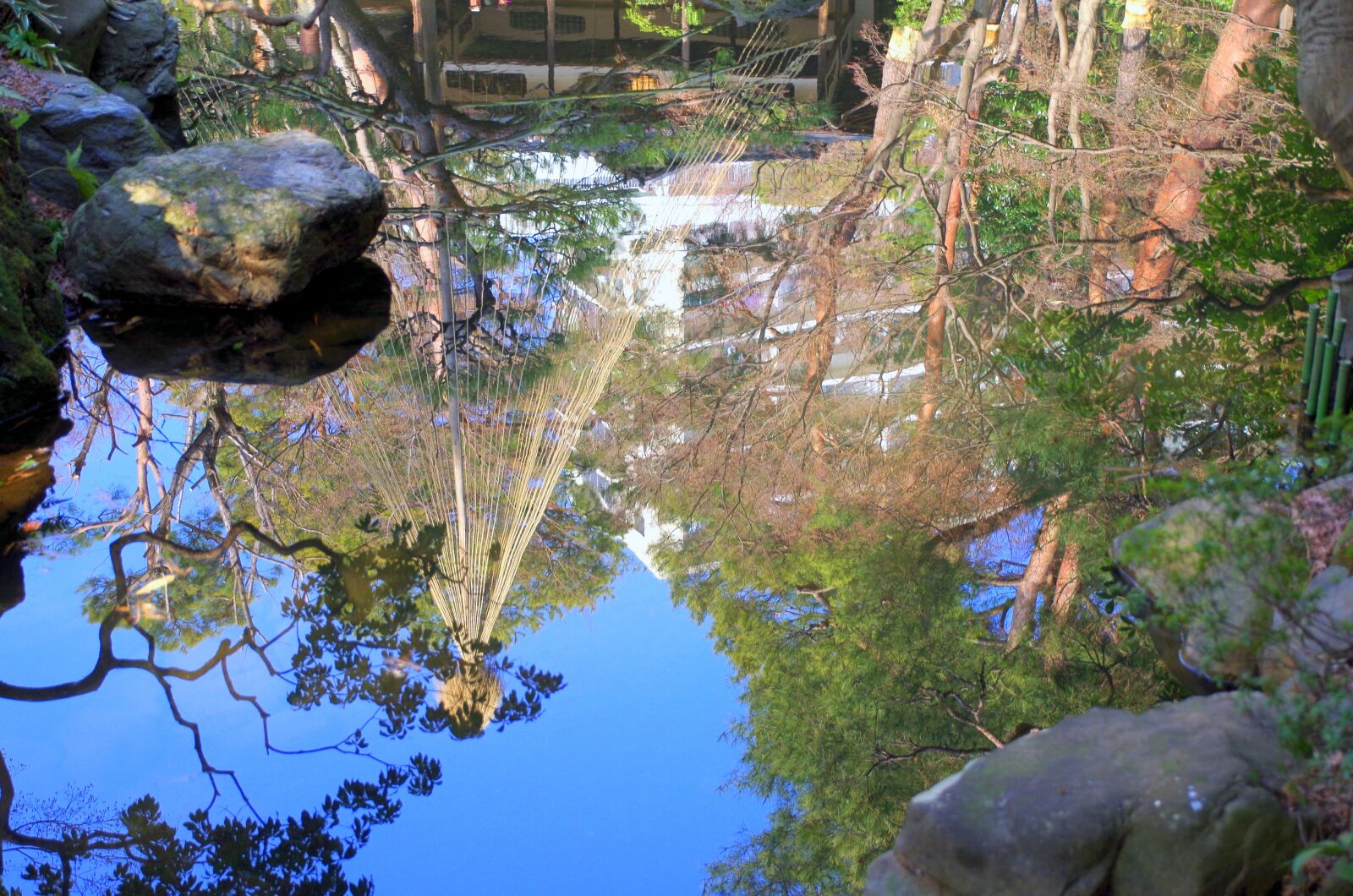 Pentax K-30 sample photo. Water, light, forest photography