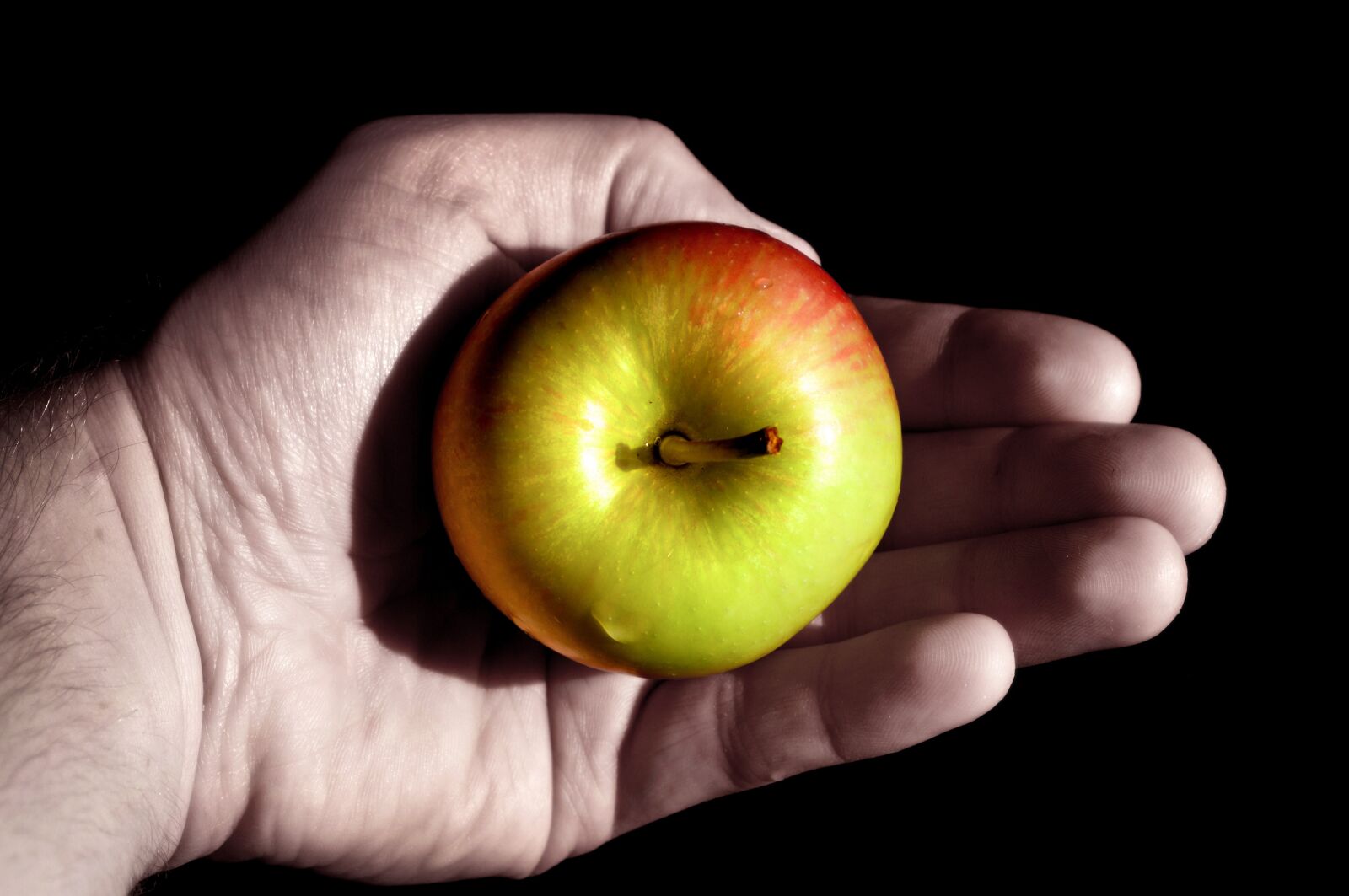 Nikon D3200 sample photo. Apple, hand, keep photography