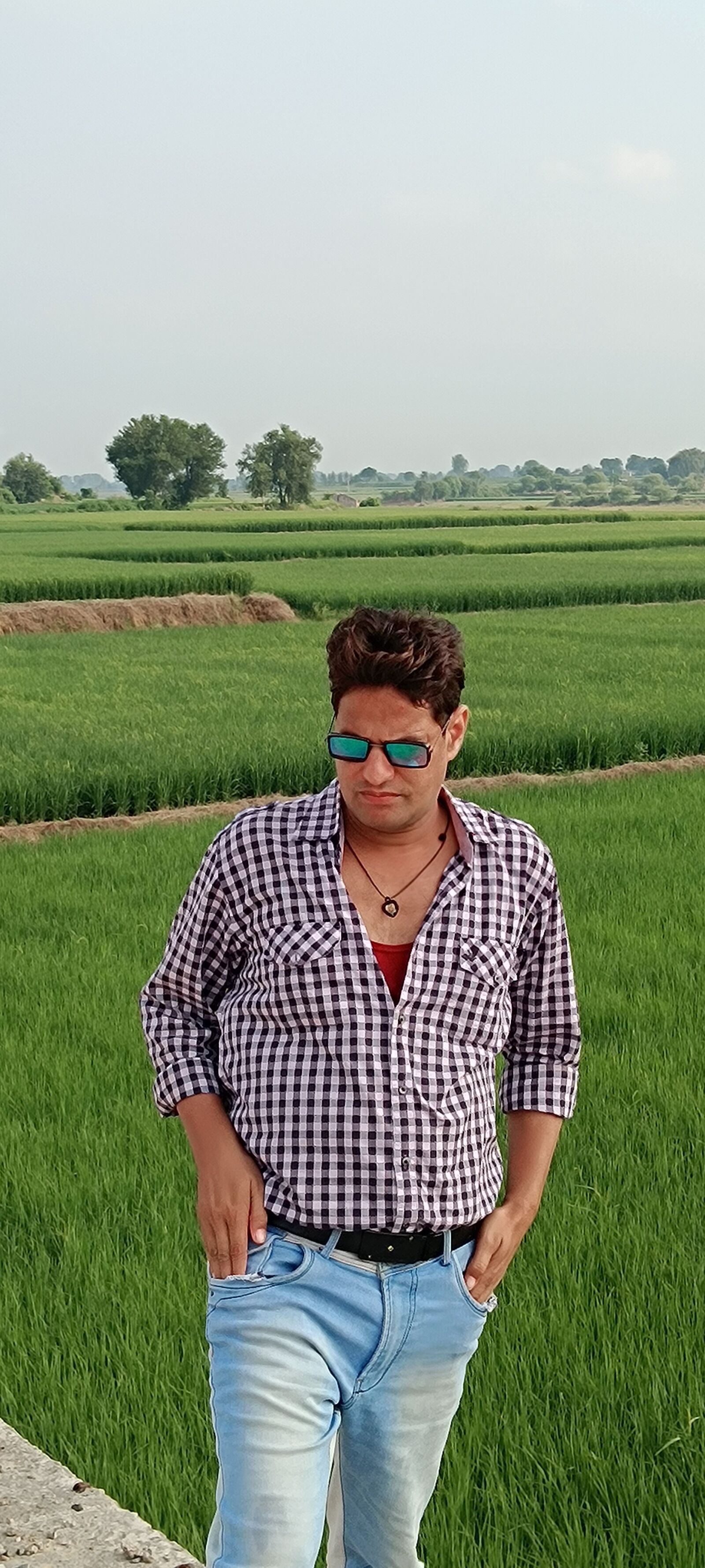 vivo Y56 5G sample photo