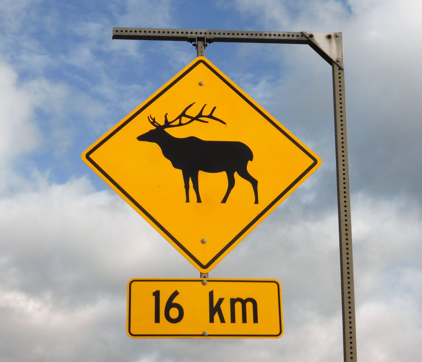 Panasonic Lumix DMC-ZS30 (Lumix DMC-TZ40) sample photo. Road sign, wild, warning photography
