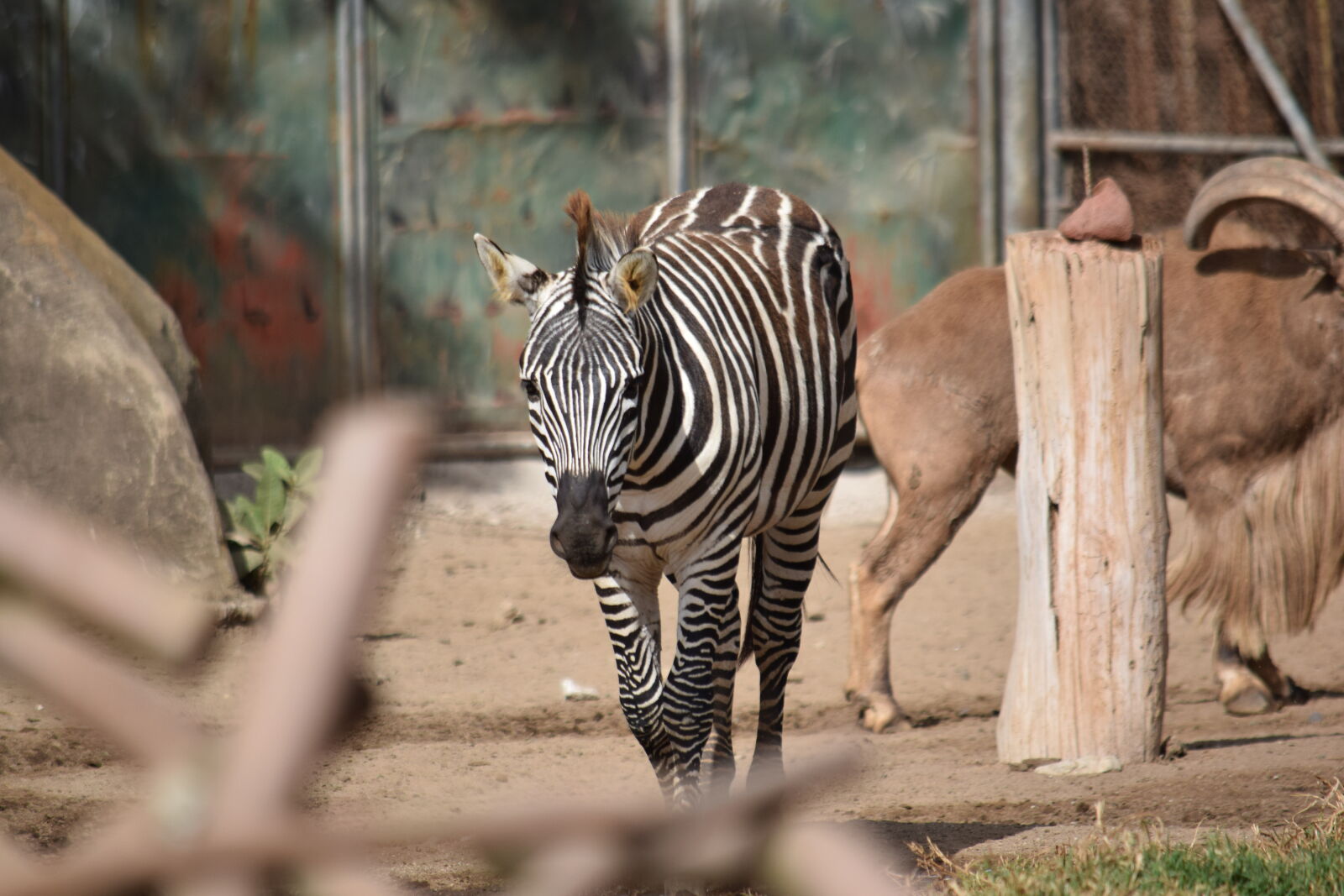 Nikon D3300 sample photo