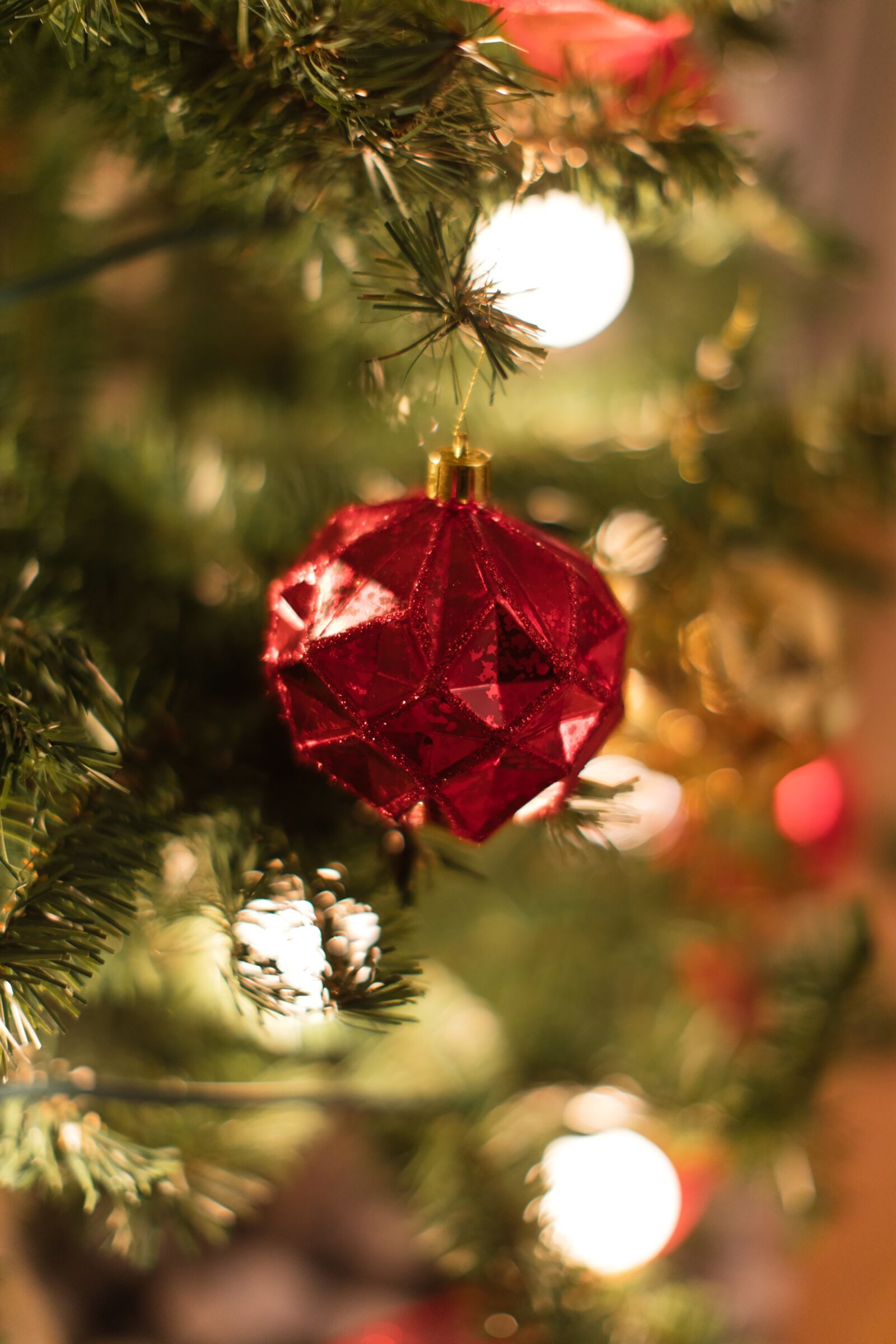 Canon EOS 5D Mark IV + Canon EF 50mm F1.2L USM sample photo. Christmas, christmas tree, christmas photography