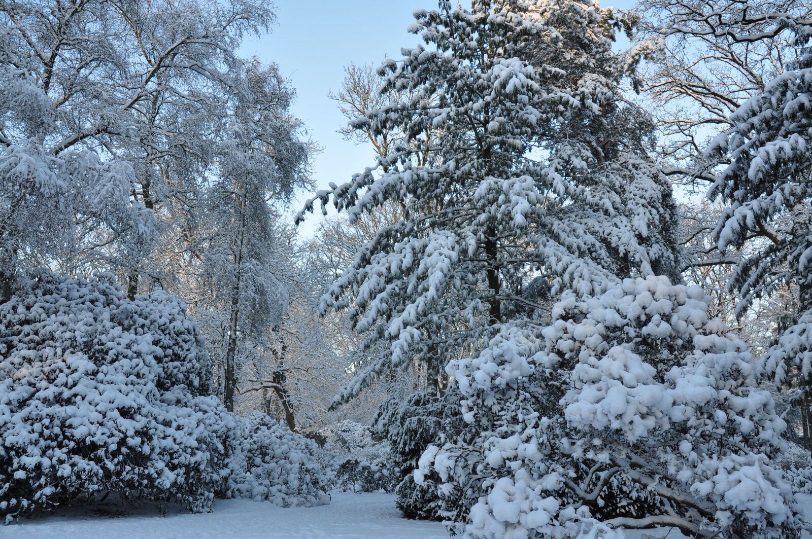 Nikon D90 sample photo. Winter, landscape, seasons photography