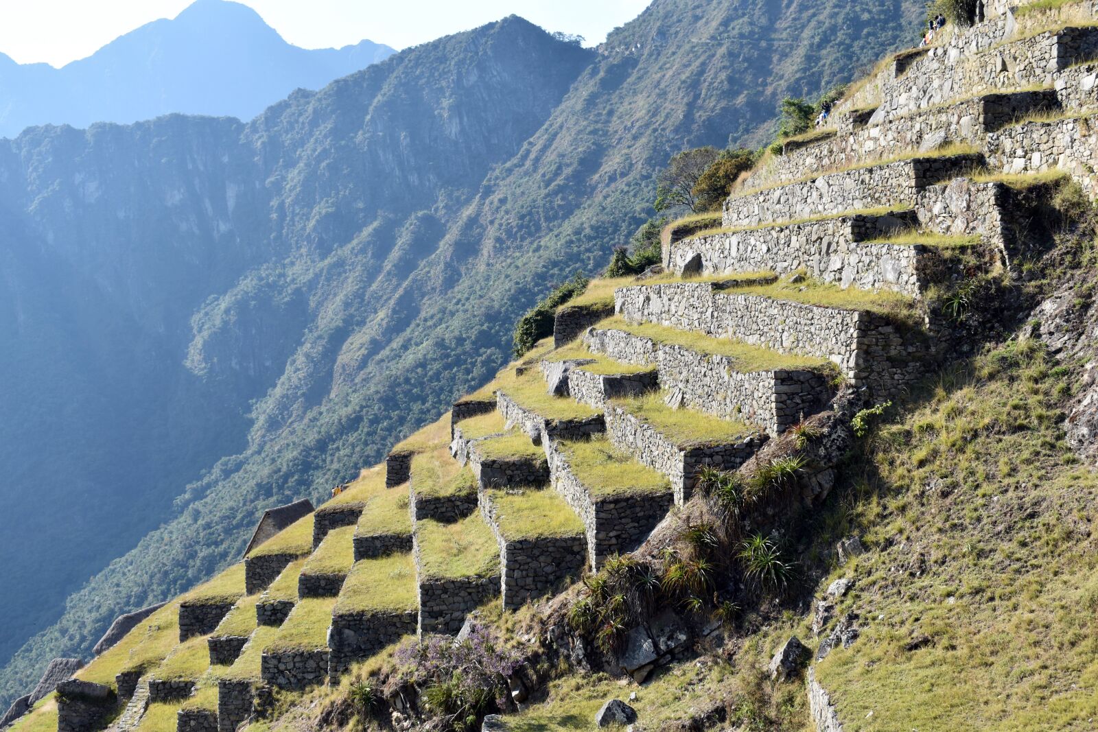 Nikon D3500 sample photo. Cusco, peru, peruvian photography