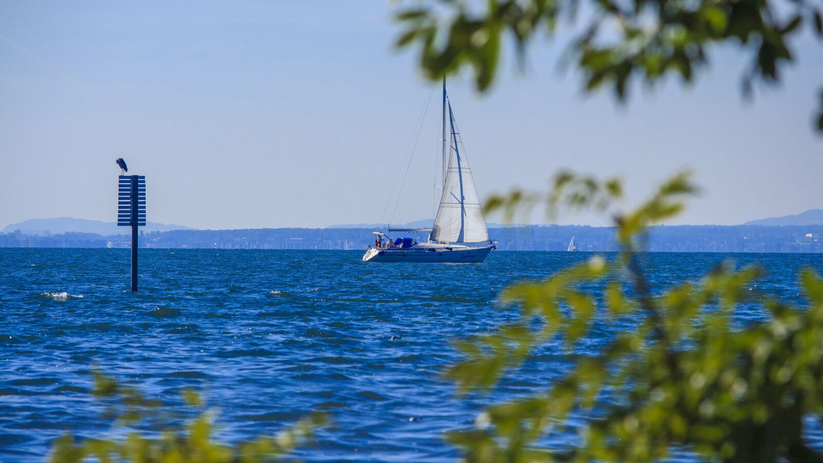 Canon EOS 650D (EOS Rebel T4i / EOS Kiss X6i) sample photo. Lake constance, gulls, on photography