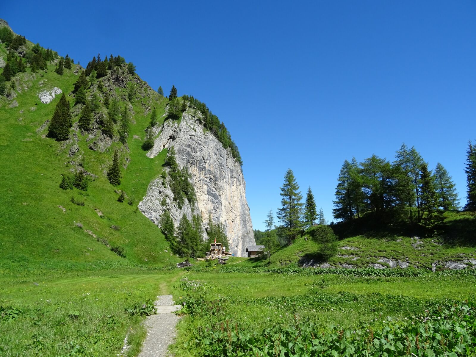Sony DSC-HX60 sample photo. Migratory path, landscape, meadow photography