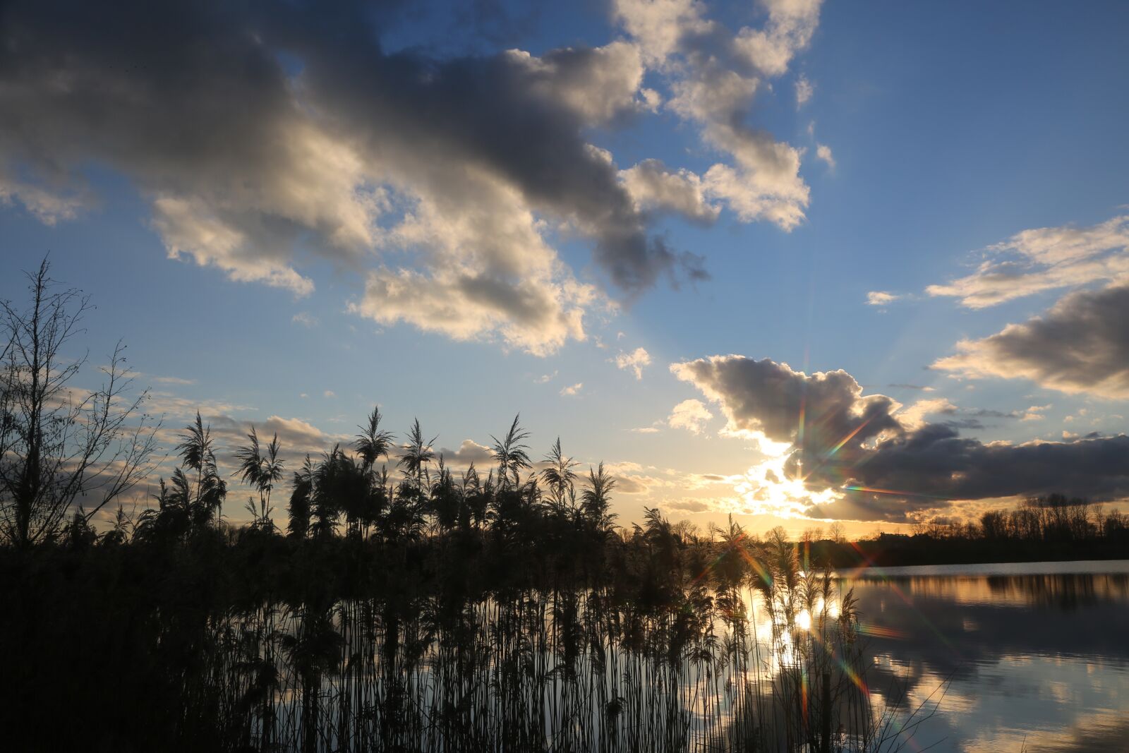 Canon EF 24-105mm F4L IS USM sample photo. Evening, water, reed photography