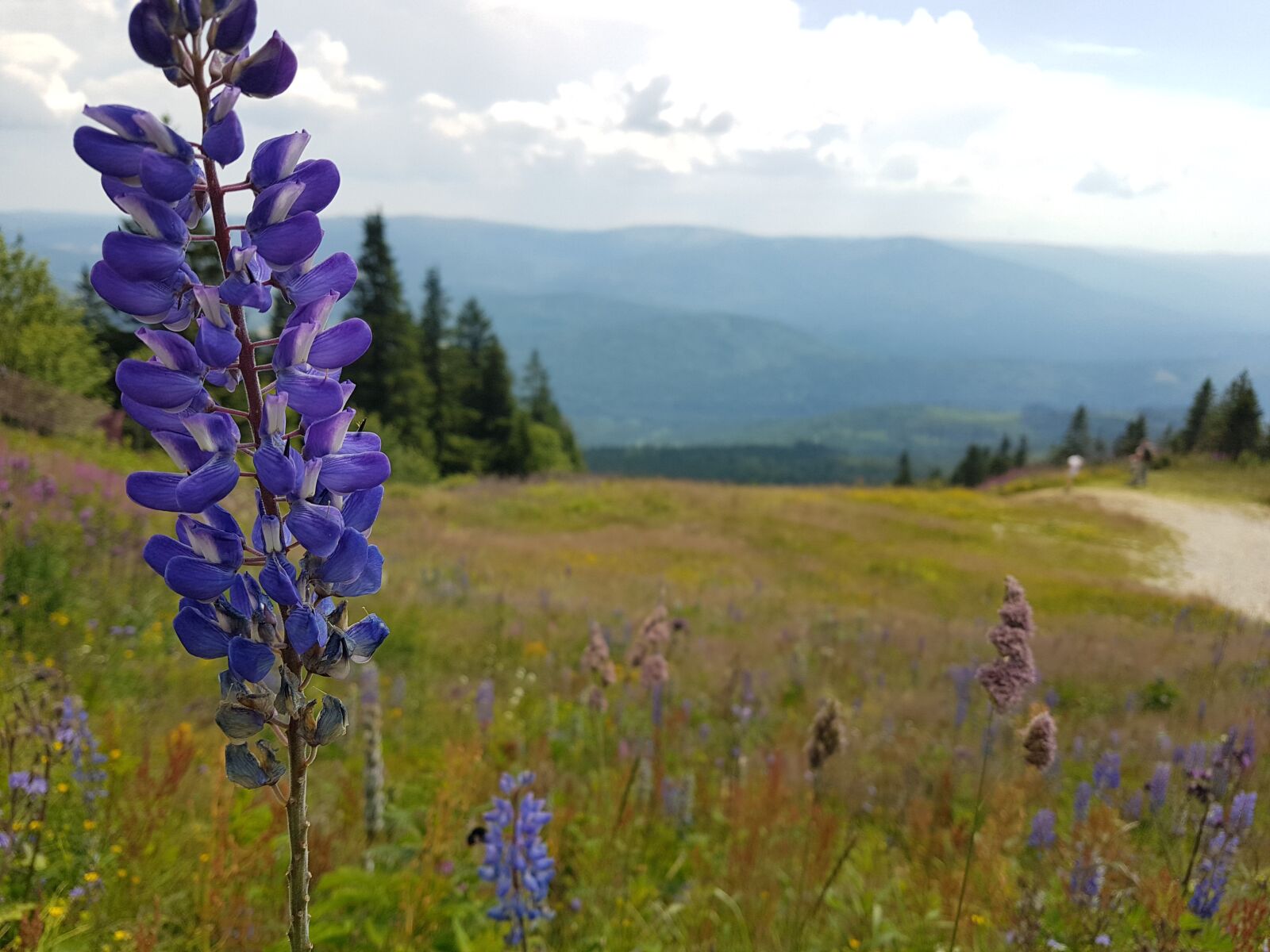 Samsung Galaxy S7 Edge sample photo. Focus, mountains, landscape photography