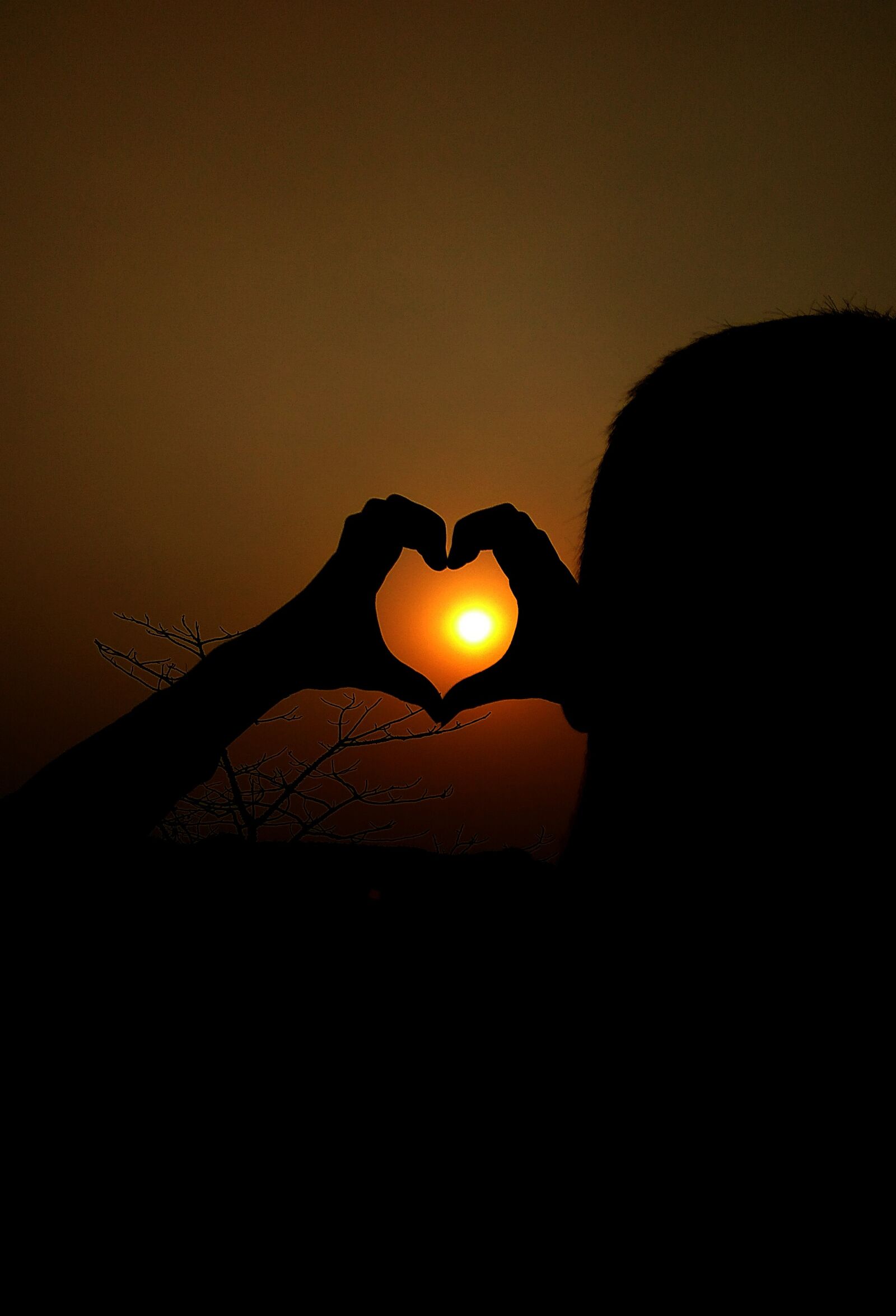Xiaomi Redmi Note3 sample photo. Heart, love, romantic photography