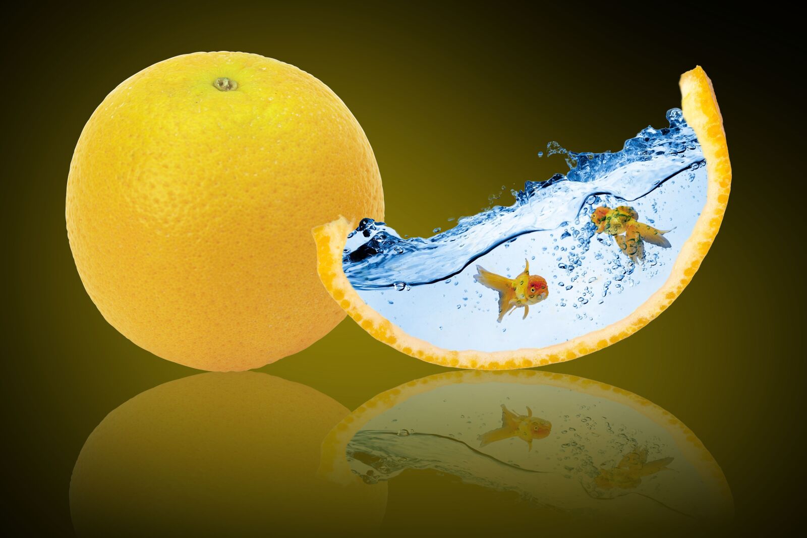 Canon EOS 50D sample photo. Fantasy, orange fruit, goldfish photography