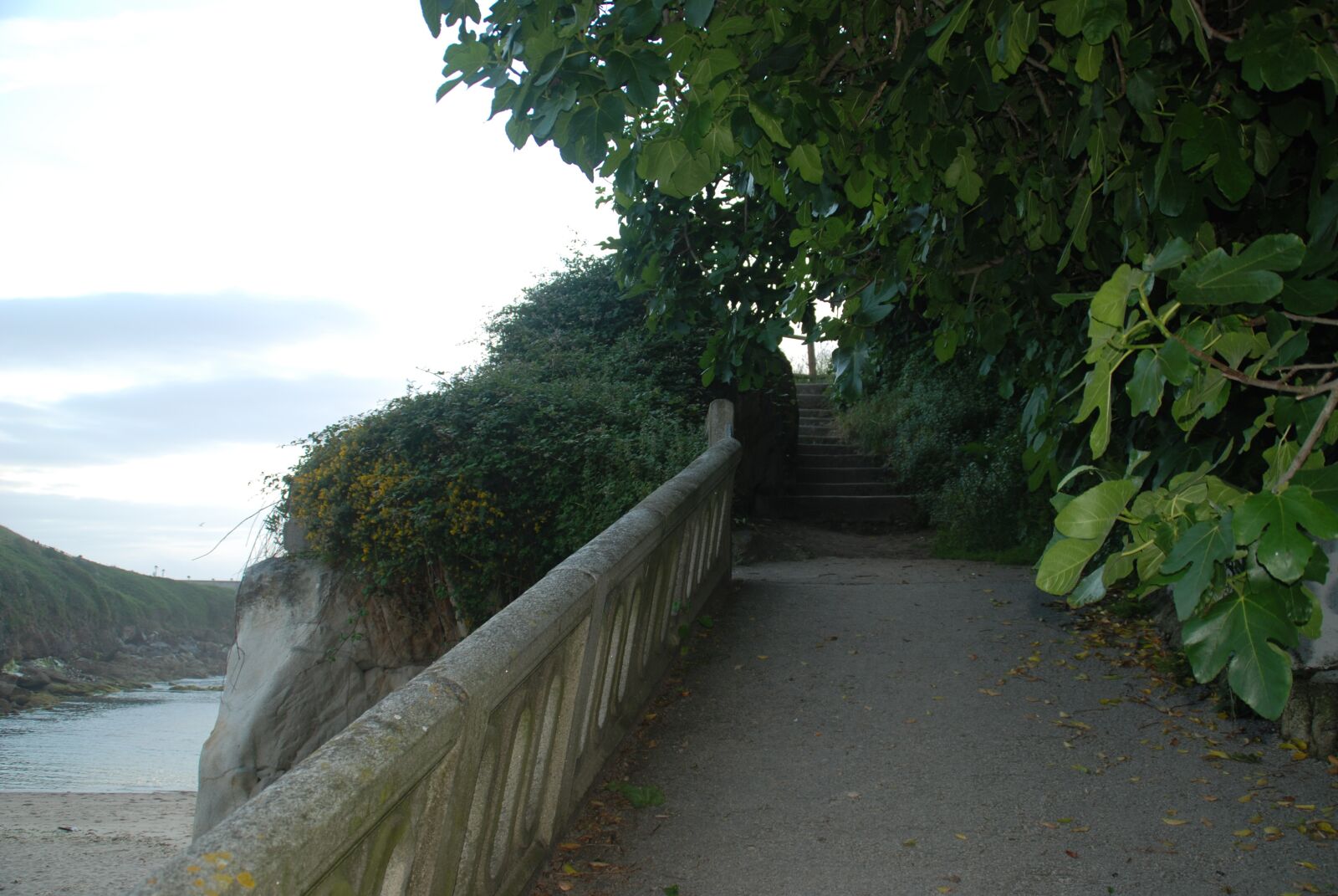 Nikon D80 sample photo. Path, beach, spain photography