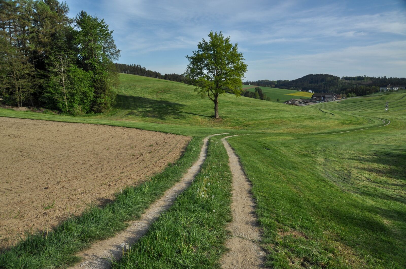 Nikon D90 sample photo. Away, spring, nature photography