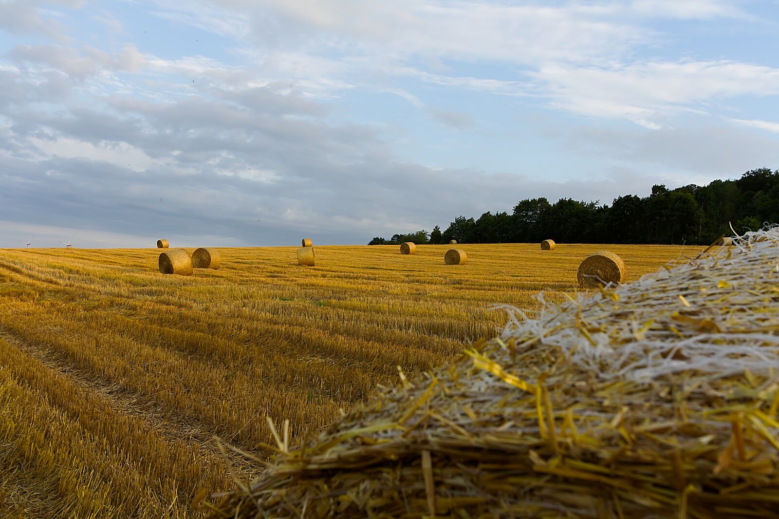 Canon EF-S 10-22mm F3.5-4.5 USM sample photo. Harvest, straw, agriculture photography