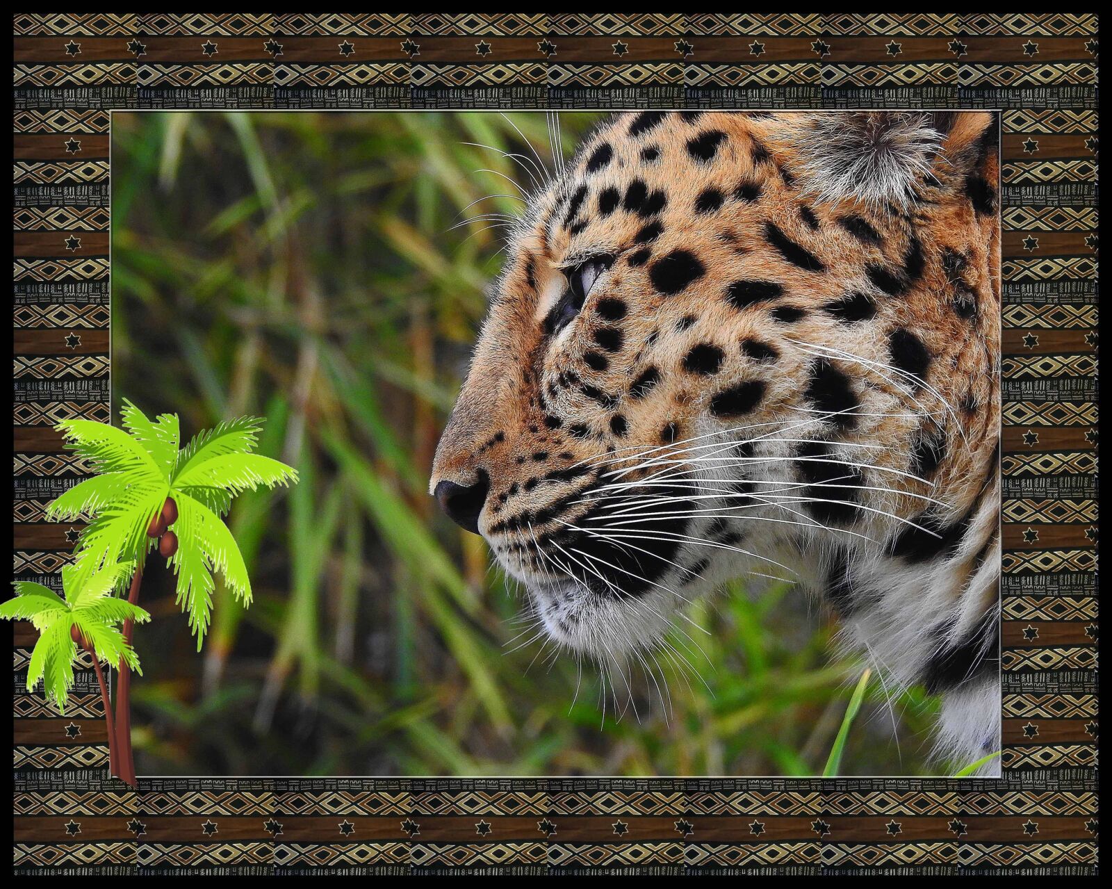 Nikon Coolpix P900 sample photo. Photomontage, leopard, wild, nature photography