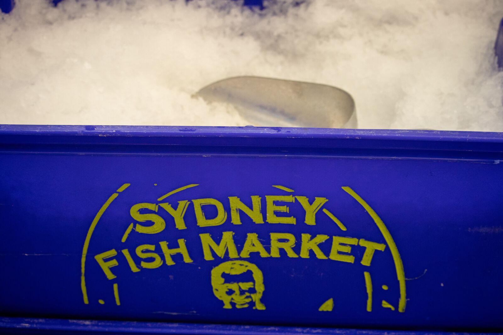 Canon EOS 200D (EOS Rebel SL2 / EOS Kiss X9) sample photo. Sydney, fish market, ice photography