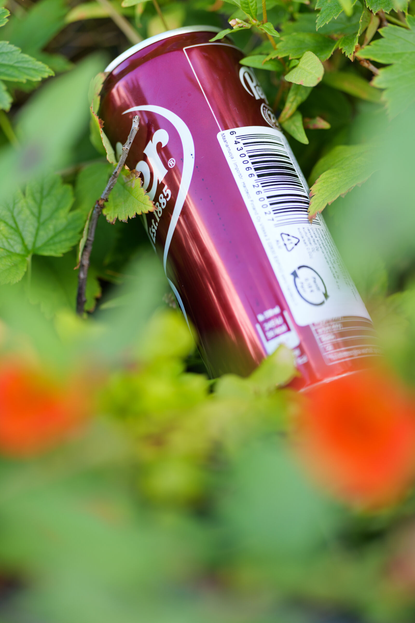 Panasonic Lumix DC-S5 II sample photo. Can littering photography