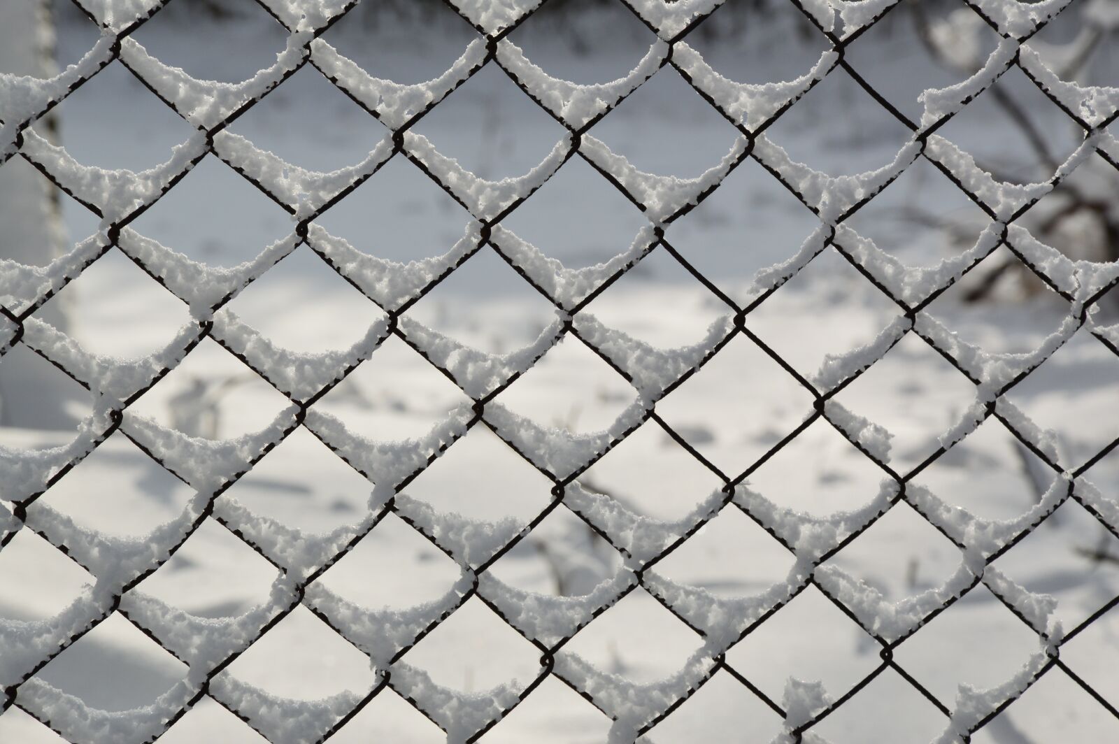 Nikon D3200 sample photo. Snowy, snow, winter photography