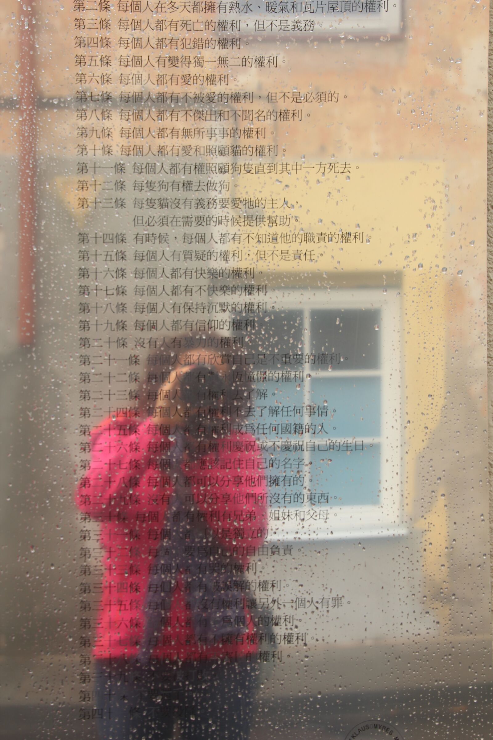 Canon EOS 600D (Rebel EOS T3i / EOS Kiss X5) sample photo. Chinese, mirror, constitution photography