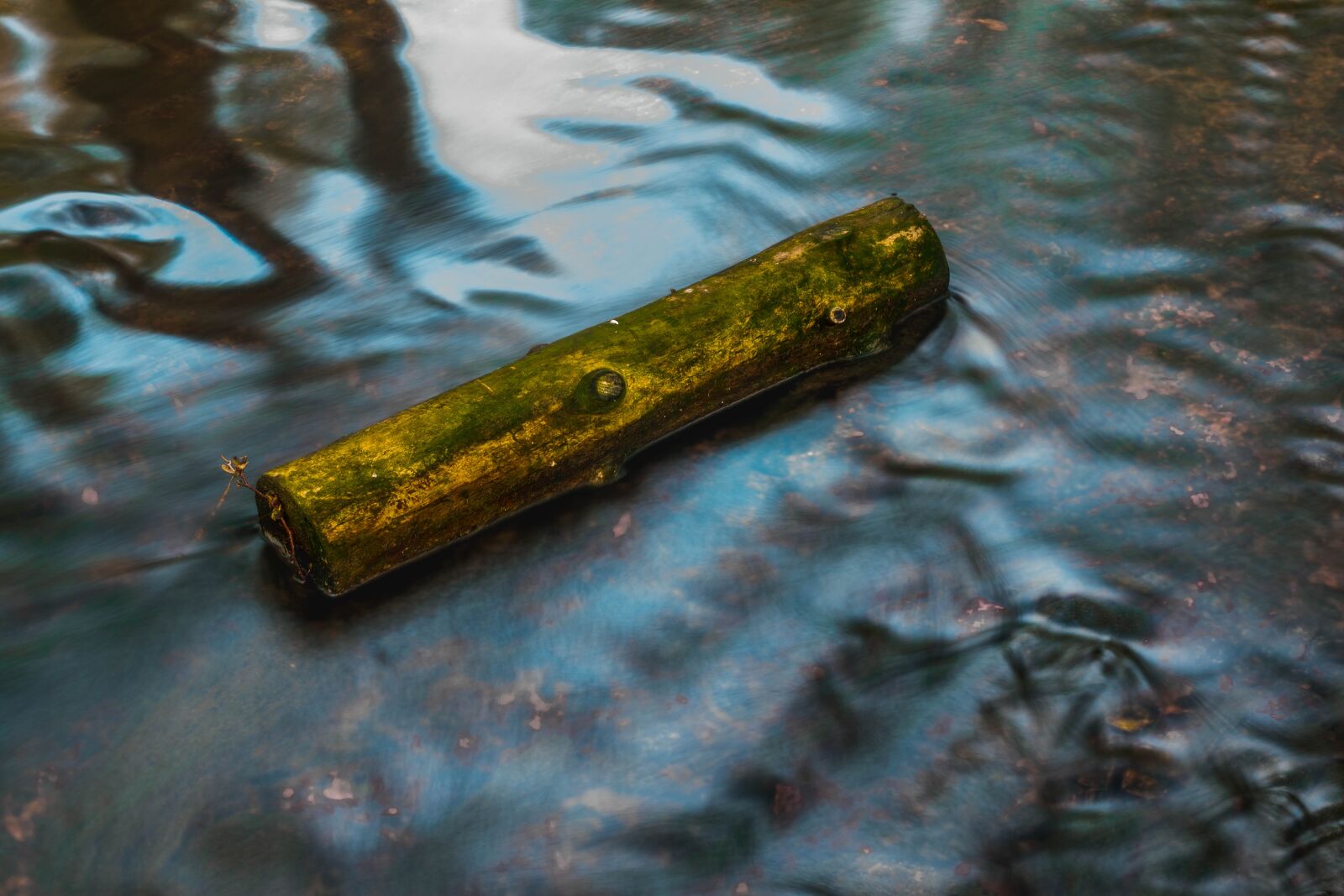 Nikon D5600 sample photo. Wood, water, river photography
