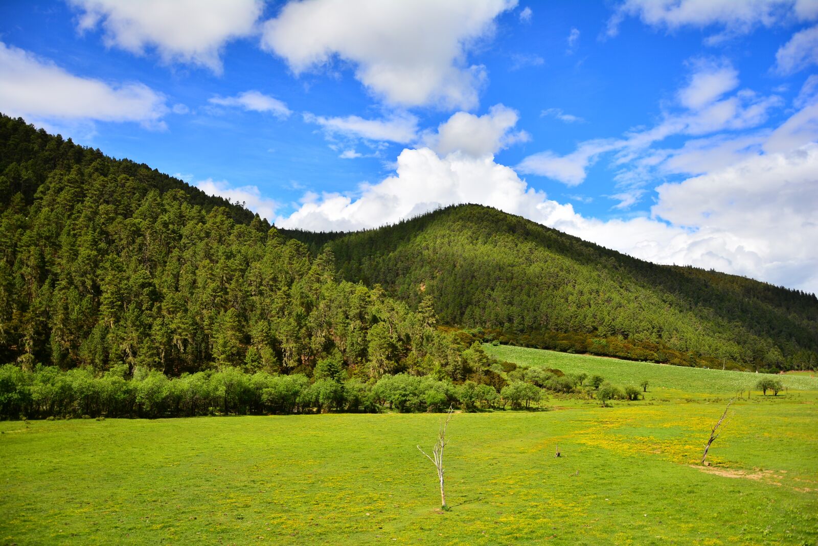 Nikon D7100 sample photo. The scenery, shangri-la's, pudacuo photography