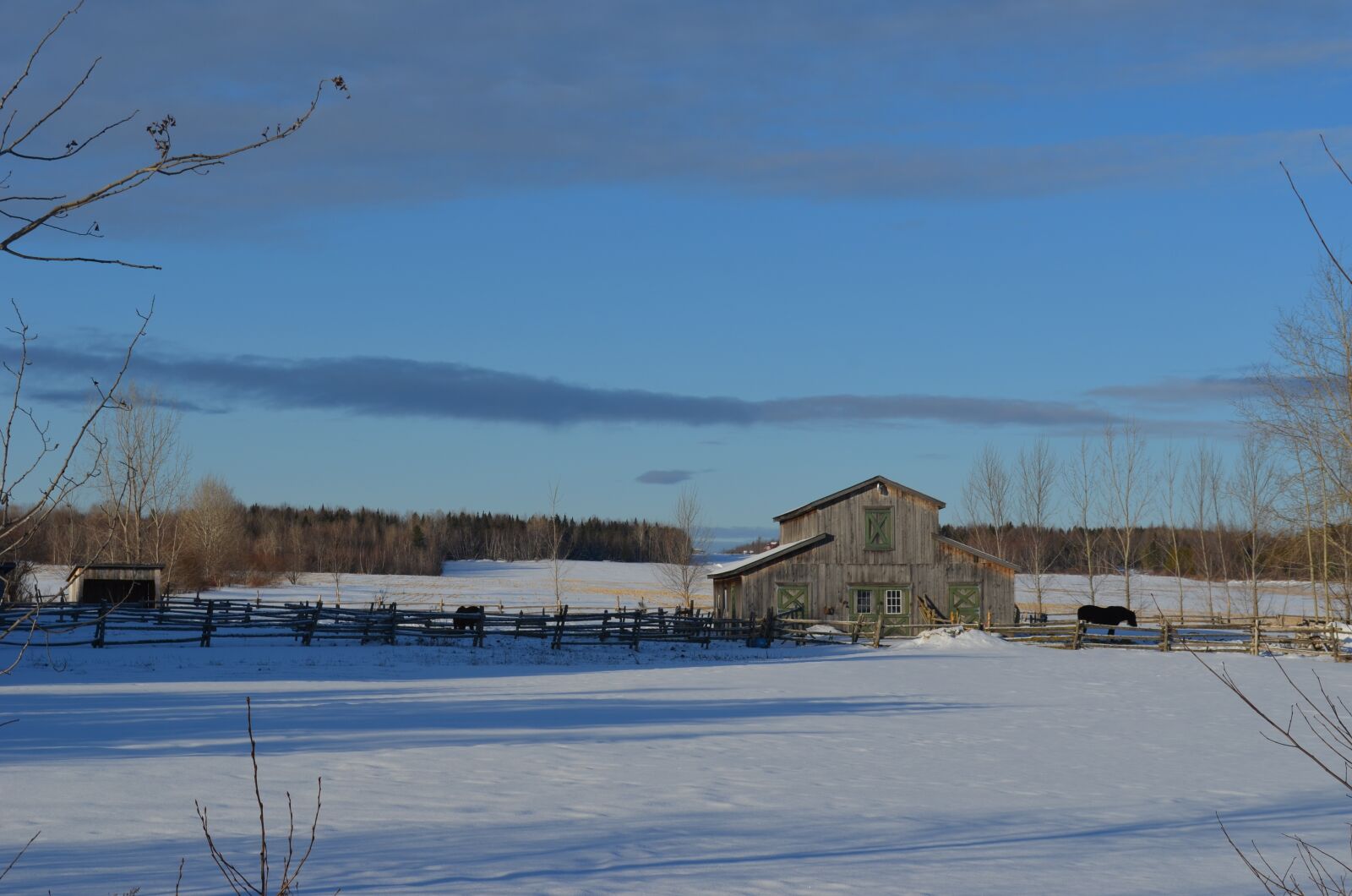 Nikon D5100 sample photo. Cabin, barn, winter photography