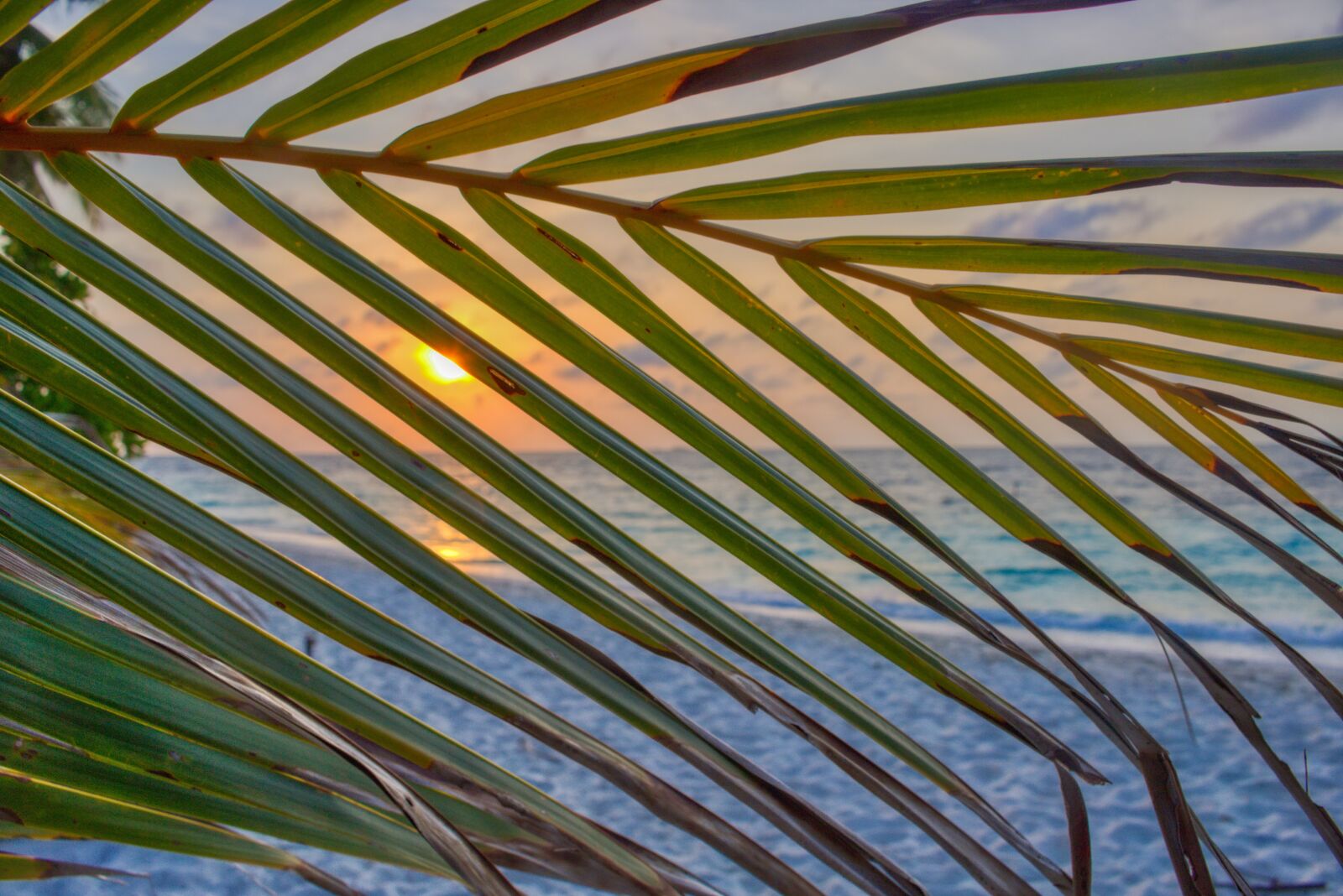 Canon EOS 750D (EOS Rebel T6i / EOS Kiss X8i) sample photo. Yellow sky, nature, sunrise photography