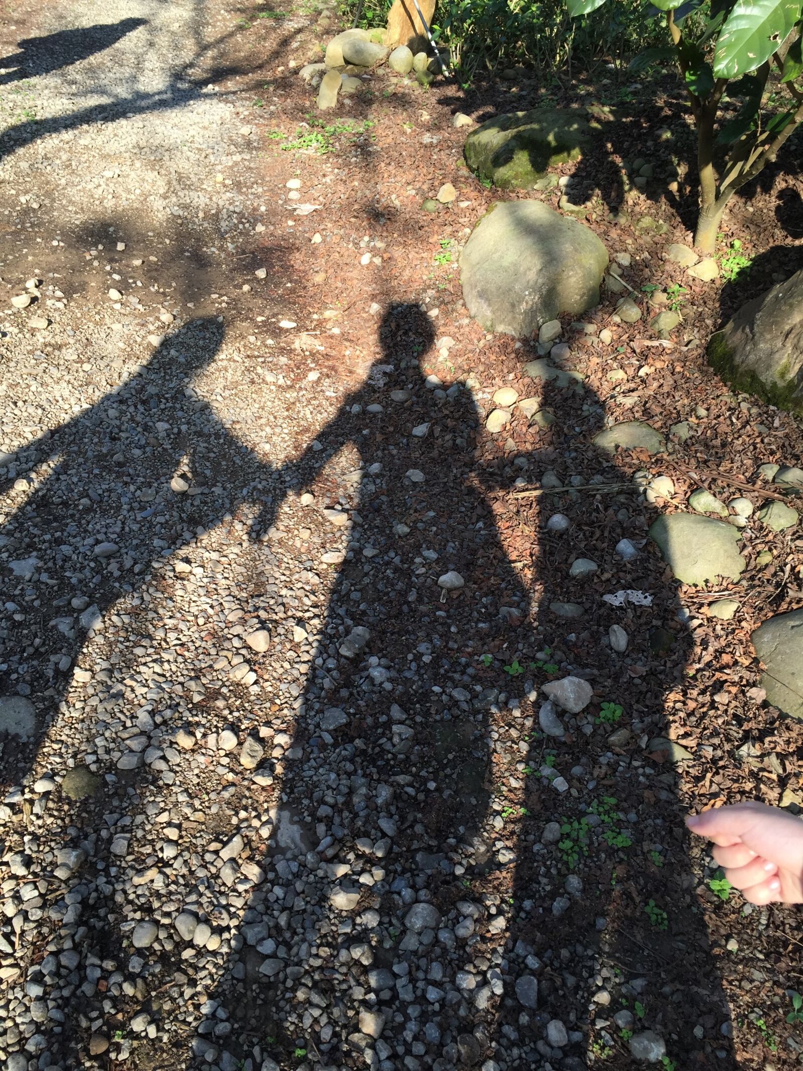 iPhone 6 back camera 4.15mm f/2.2 sample photo. Figure, qing zi, reflection photography