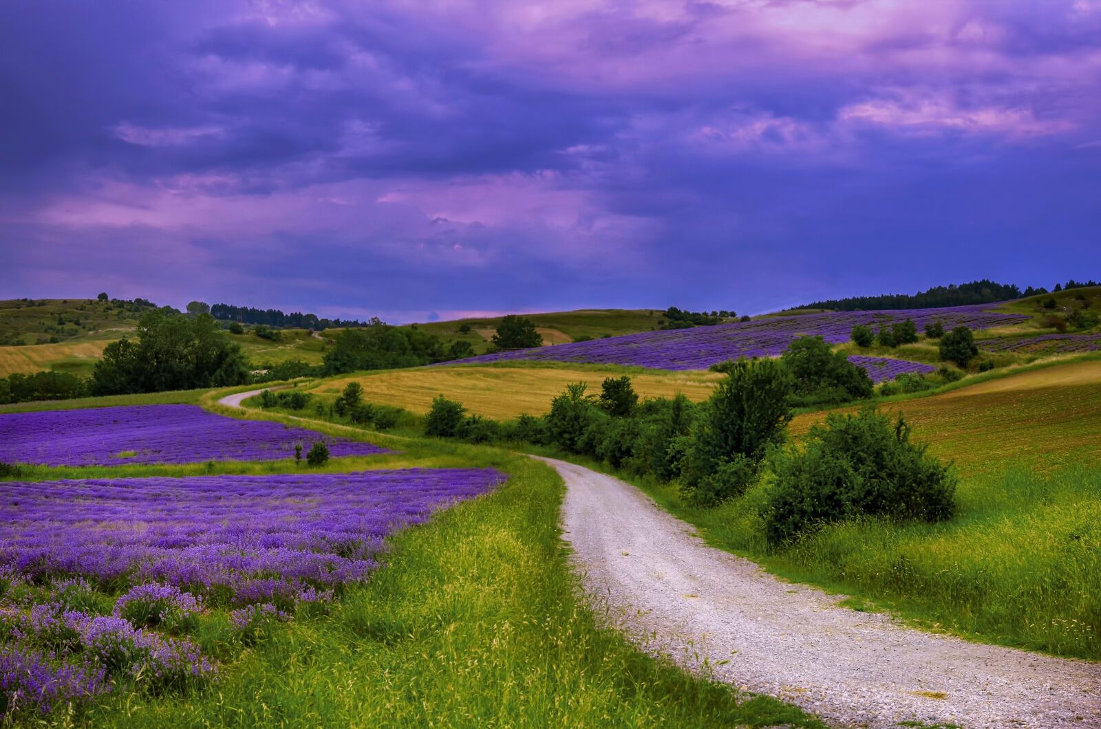 Nikon D7000 sample photo. Fields, colors, nature photography
