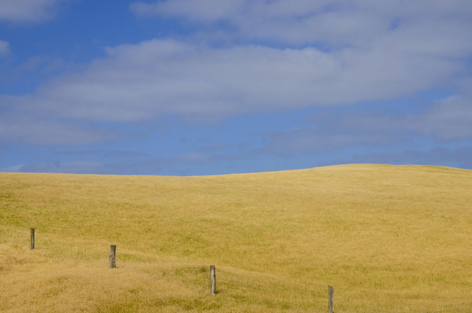 Nikon D7000 sample photo. Australia, field, countryside photography