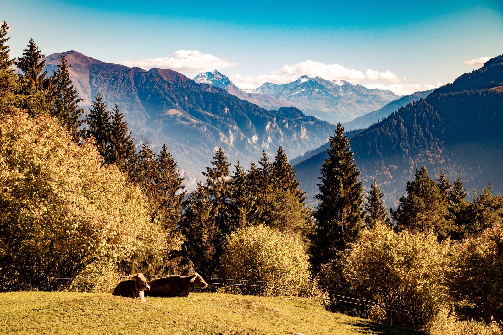 Canon EF-S 18-135mm F3.5-5.6 IS USM sample photo. Alpine, mountains, landscape photography
