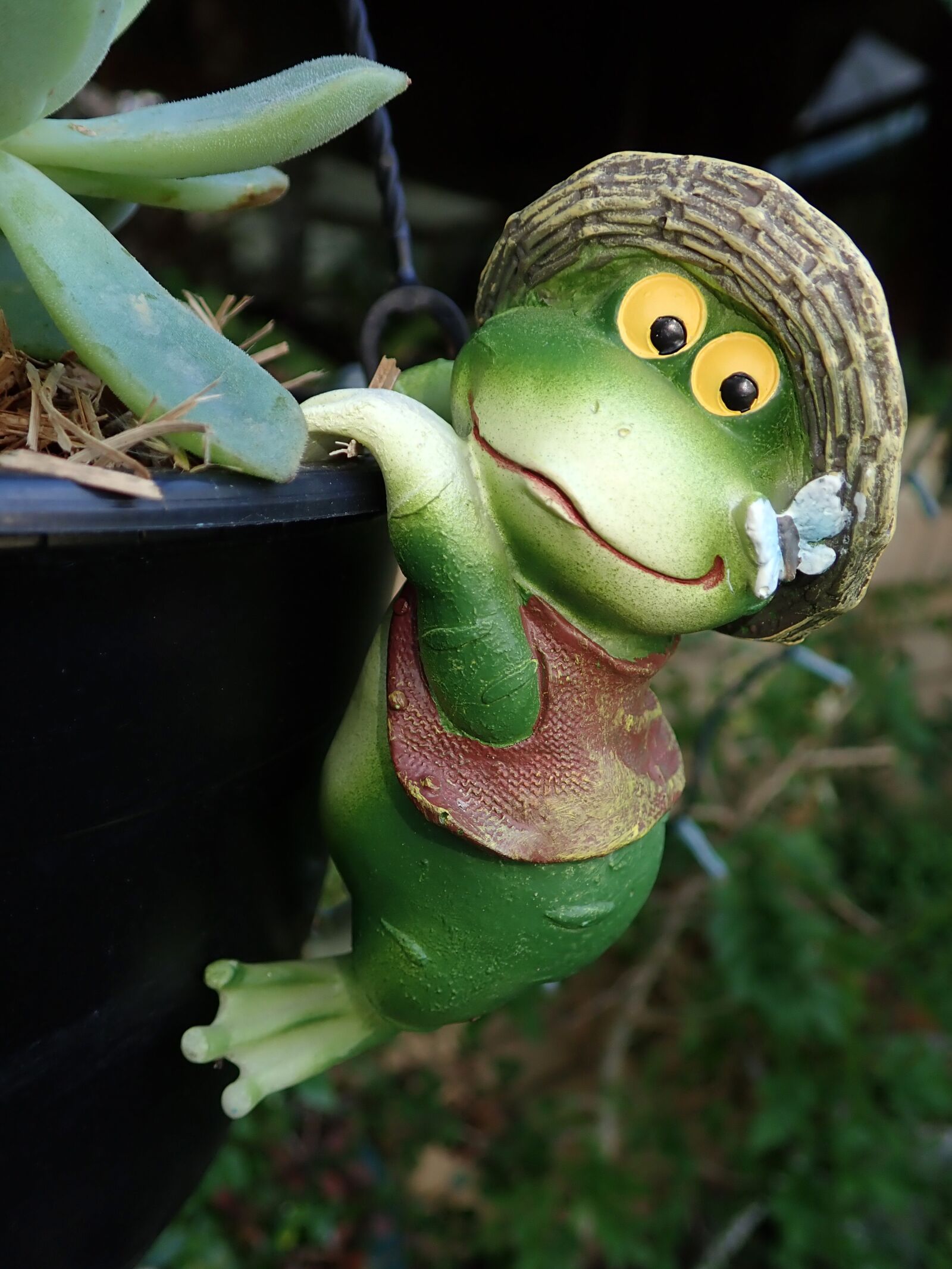 Olympus TG-5 sample photo. Frog, garden, statue photography