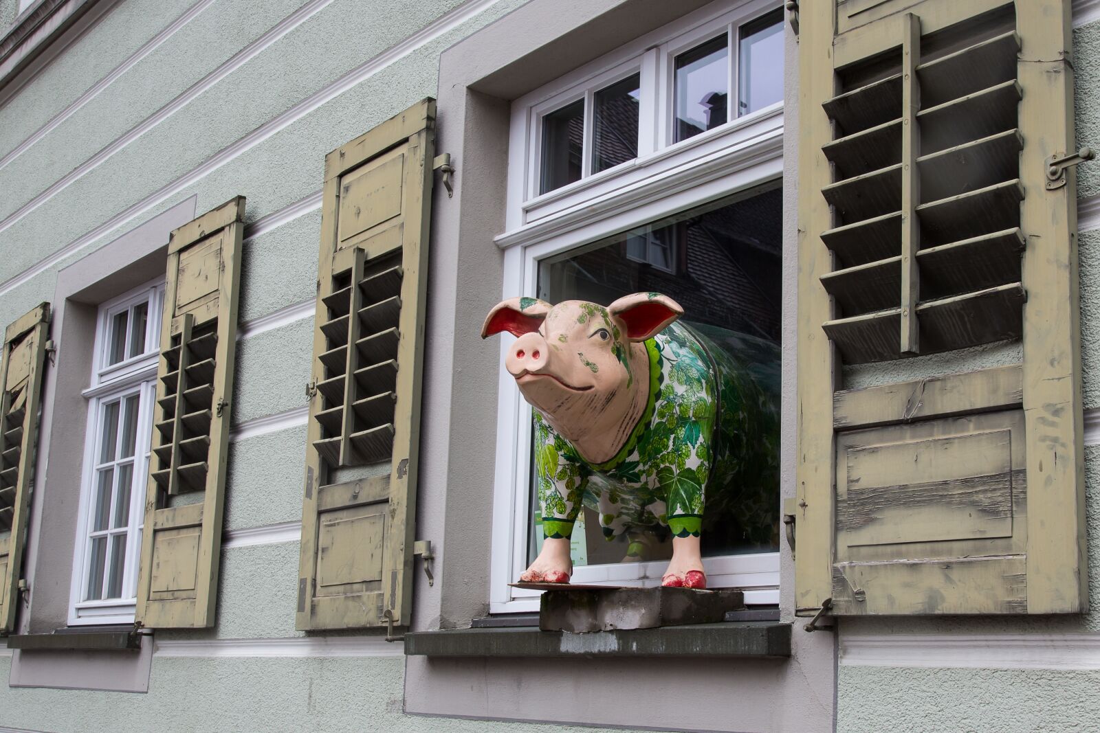 Canon EF 24-105mm F4L IS USM sample photo. Pig, piglet, hop sau photography