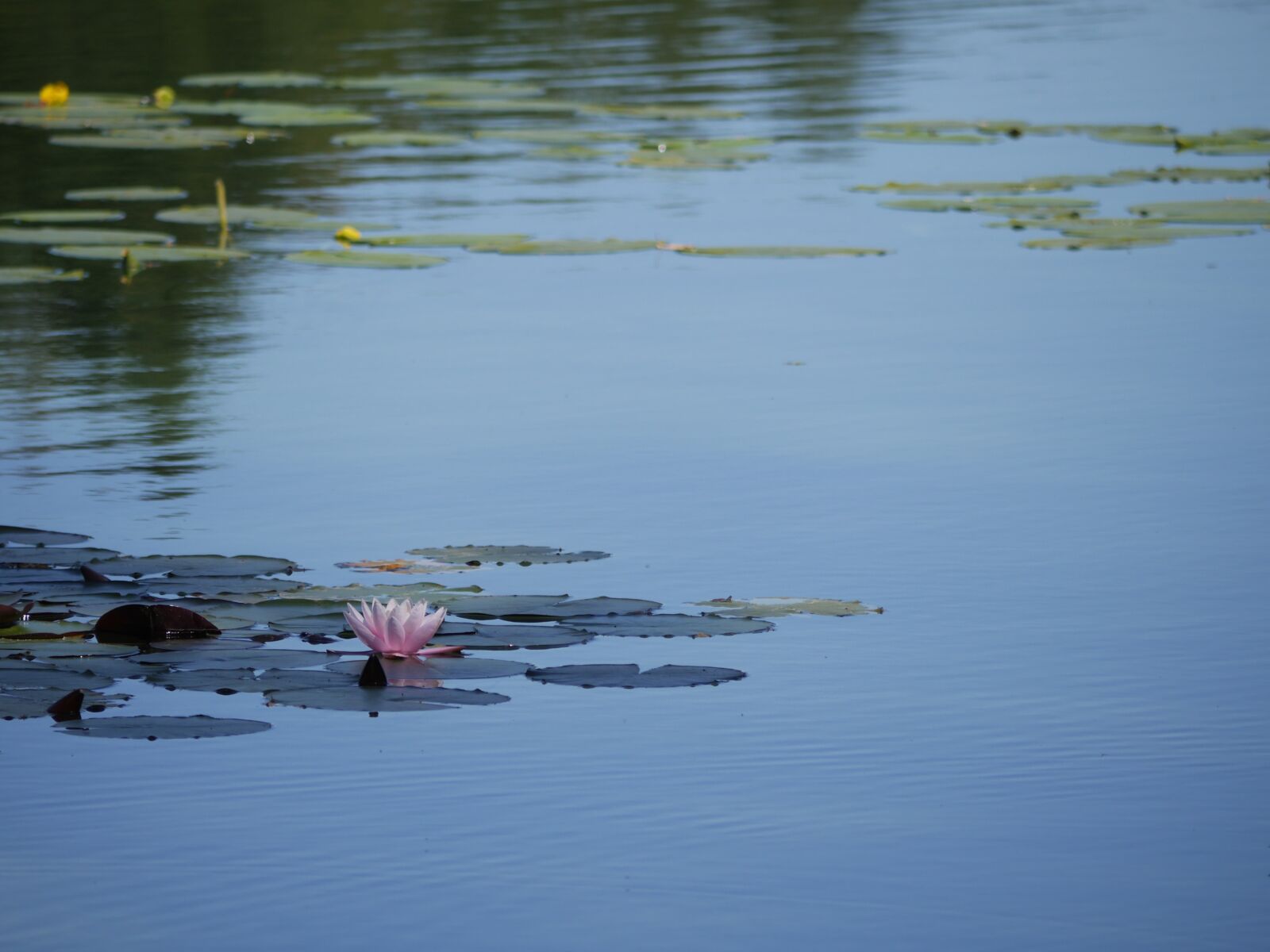 Panasonic Lumix DMC-GH3 sample photo. Lake, water, calm photography