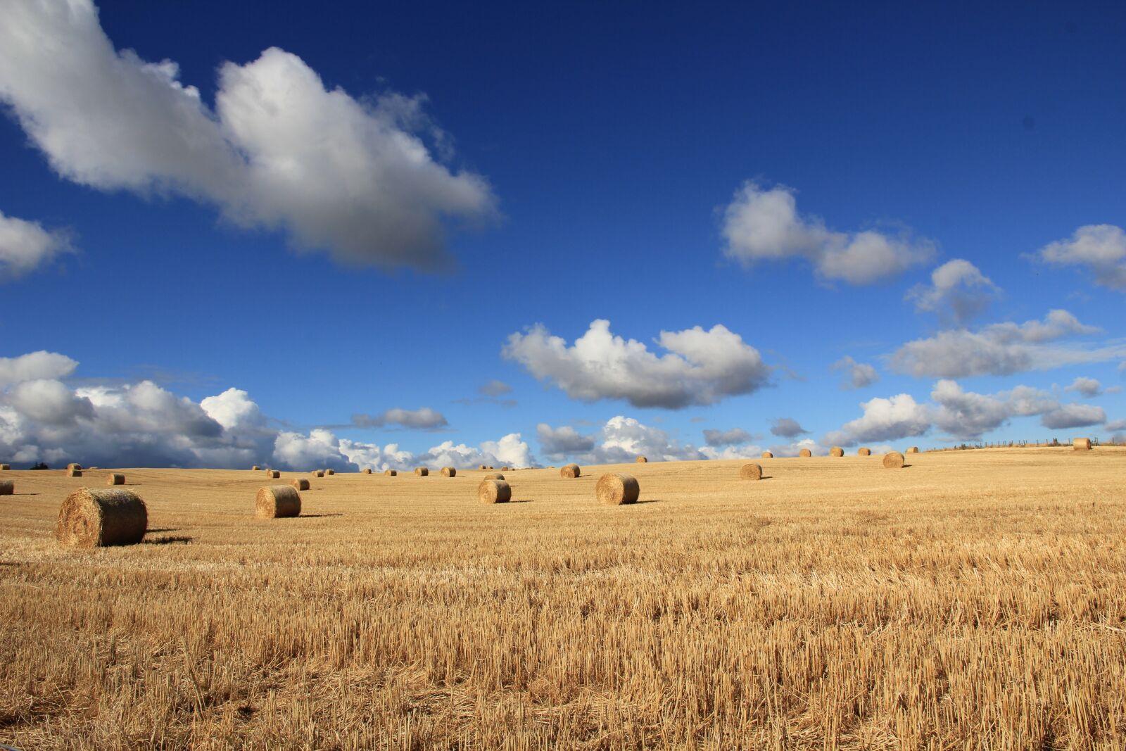 Canon EOS 550D (EOS Rebel T2i / EOS Kiss X4) sample photo. Clouds, countryside, crop photography