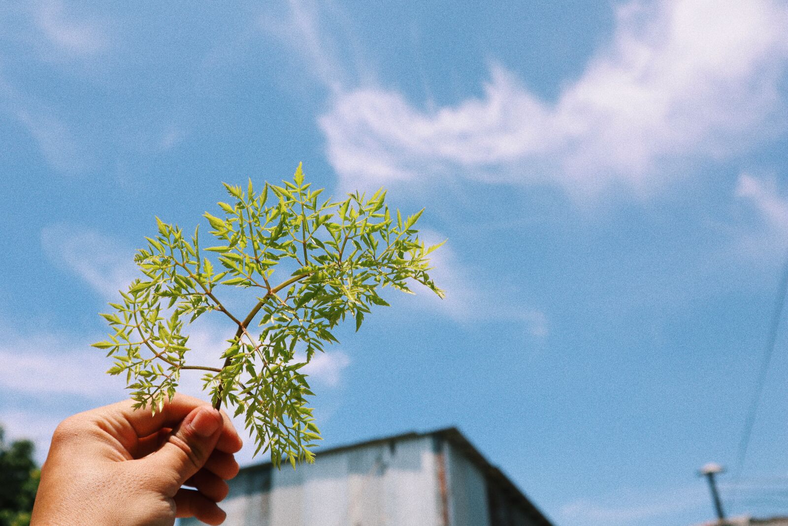 Canon EOS M50 (EOS Kiss M) sample photo. Sky, summer, blue photography