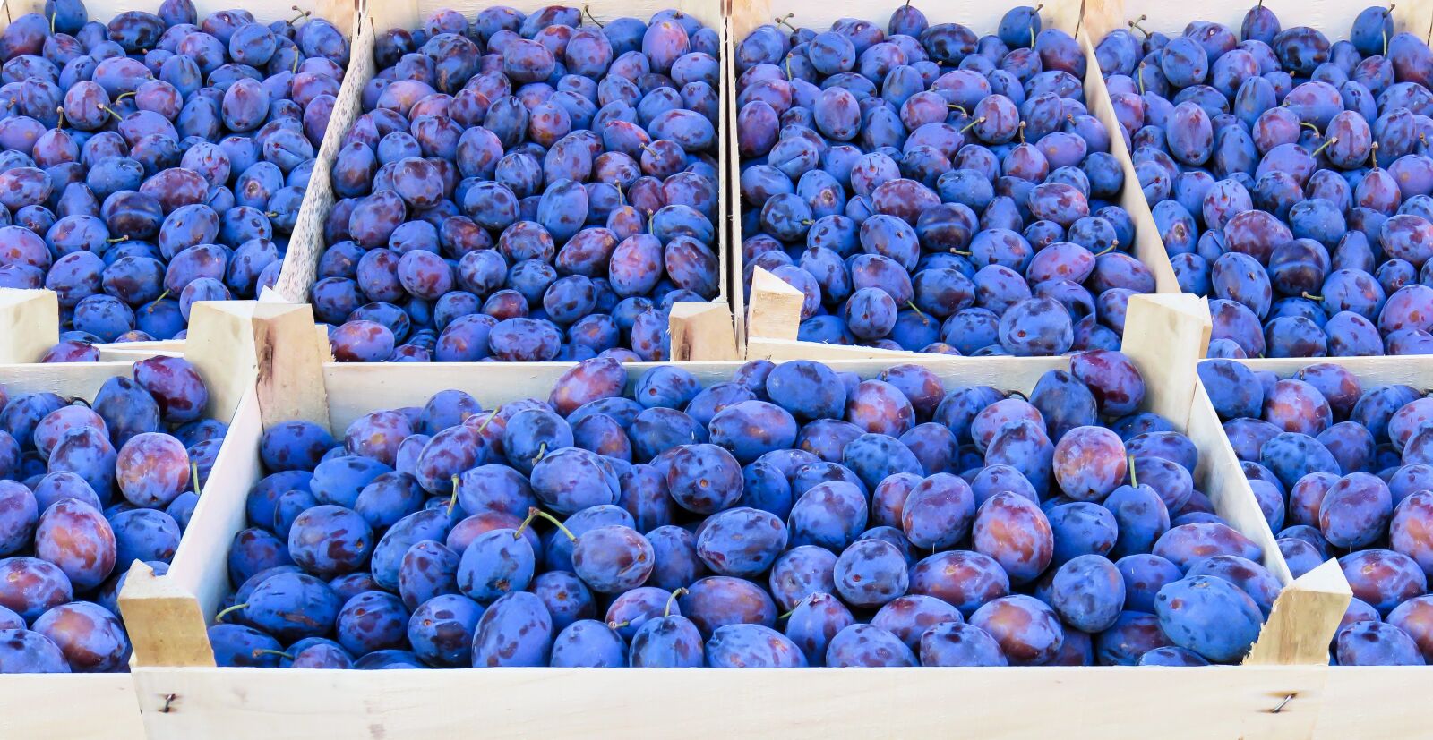 Canon PowerShot SX710 HS sample photo. Food, plums, eat photography