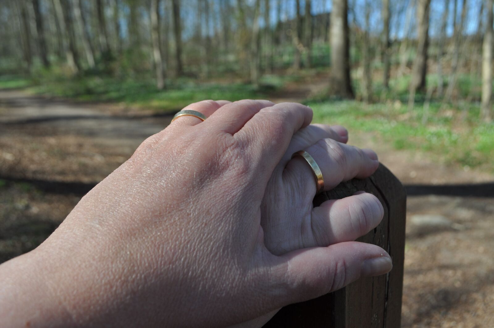 Nikon D5000 sample photo. Hands, hand, couple photography