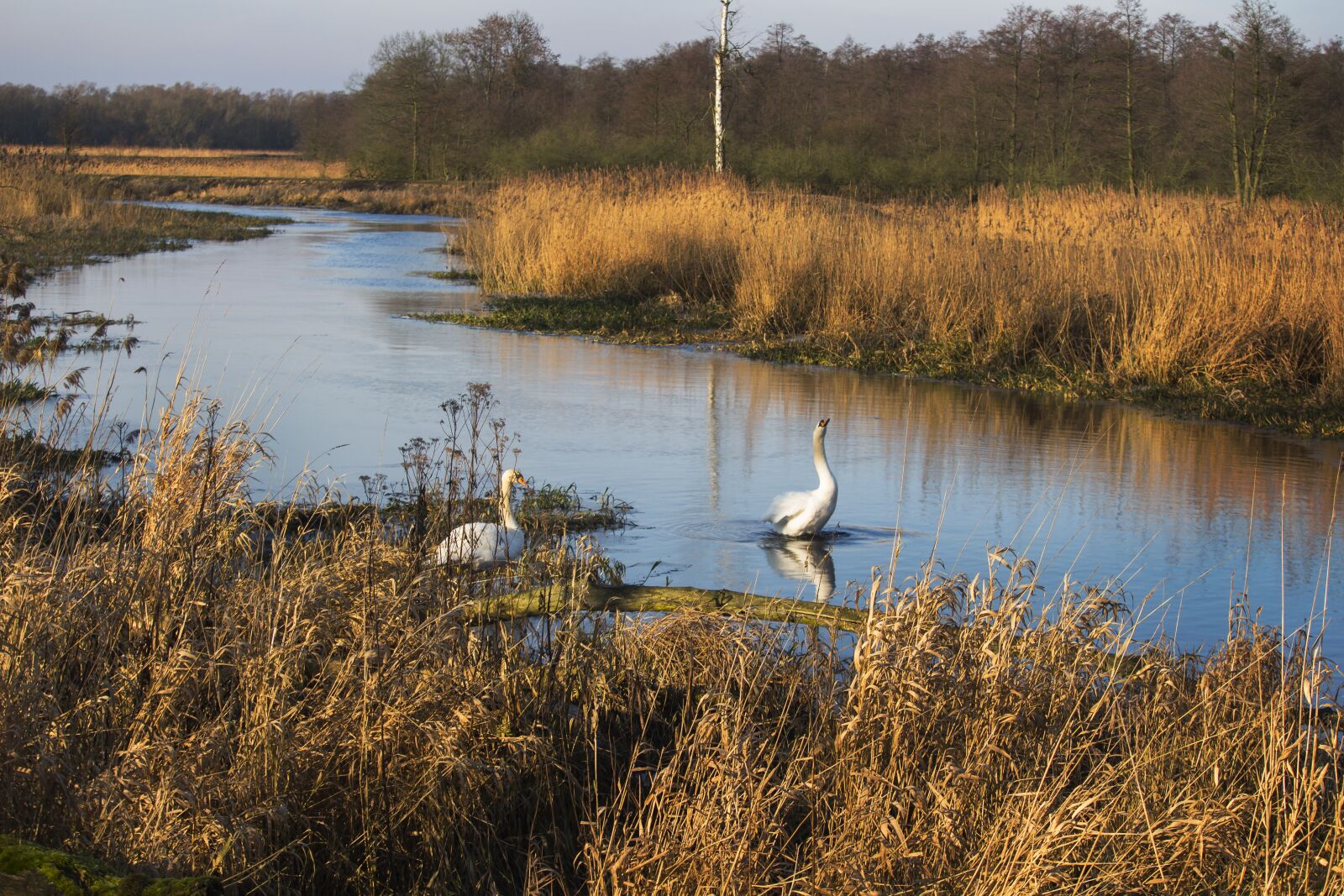 Canon EF-S 55-250mm F4-5.6 IS STM sample photo. Landscape, autumn, nature photography