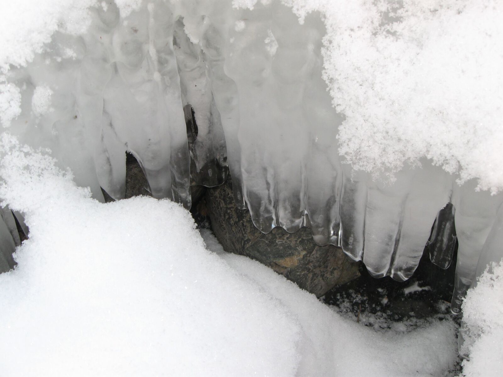 Canon PowerShot A590 IS sample photo. Snow, winter, ice photography