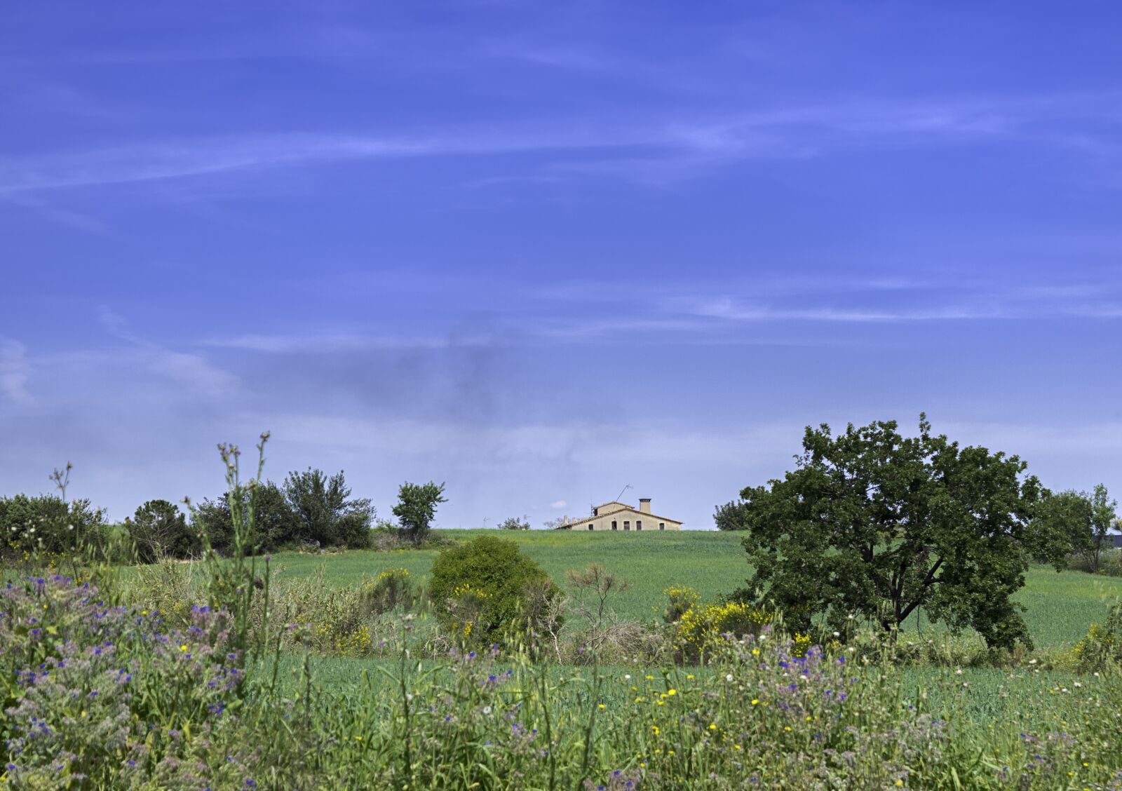Nikon D3300 sample photo. Prairie, house, field photography