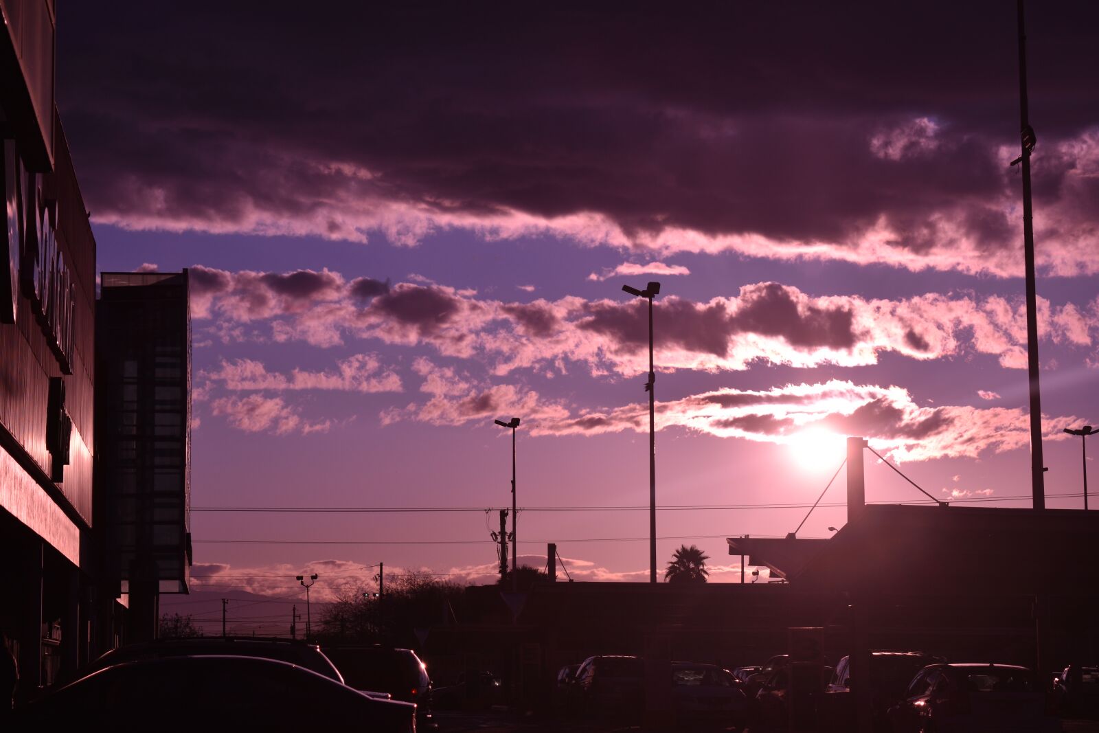 Nikon D3500 sample photo. Sunset, sun, purple photography
