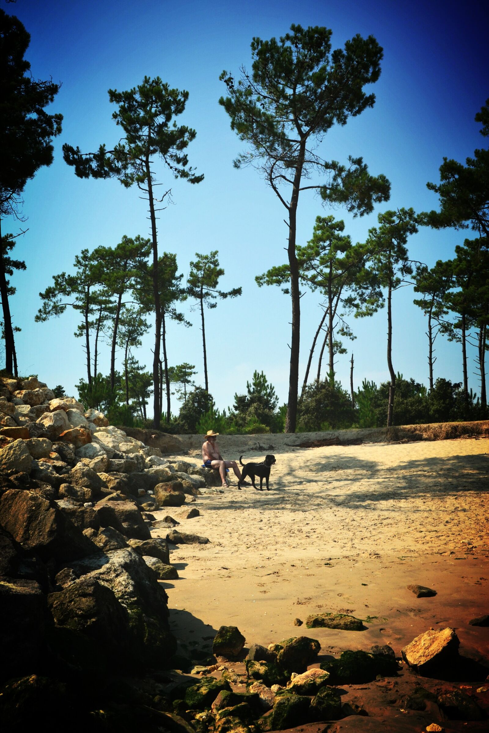 Nikon D3100 sample photo. Beach, oléron, nature photography