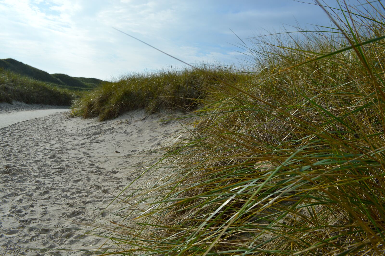Nikon D3200 sample photo. Away, wood, sunny photography
