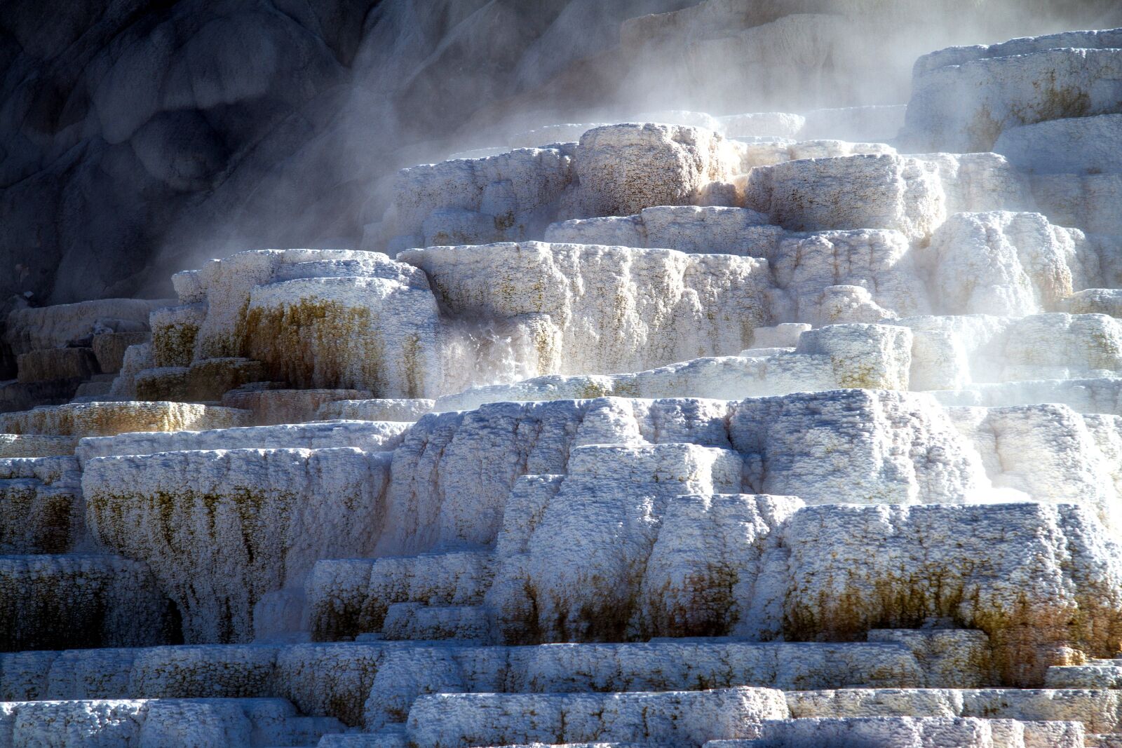 Canon EOS 7D sample photo. Yellowstone national park, wyoming photography